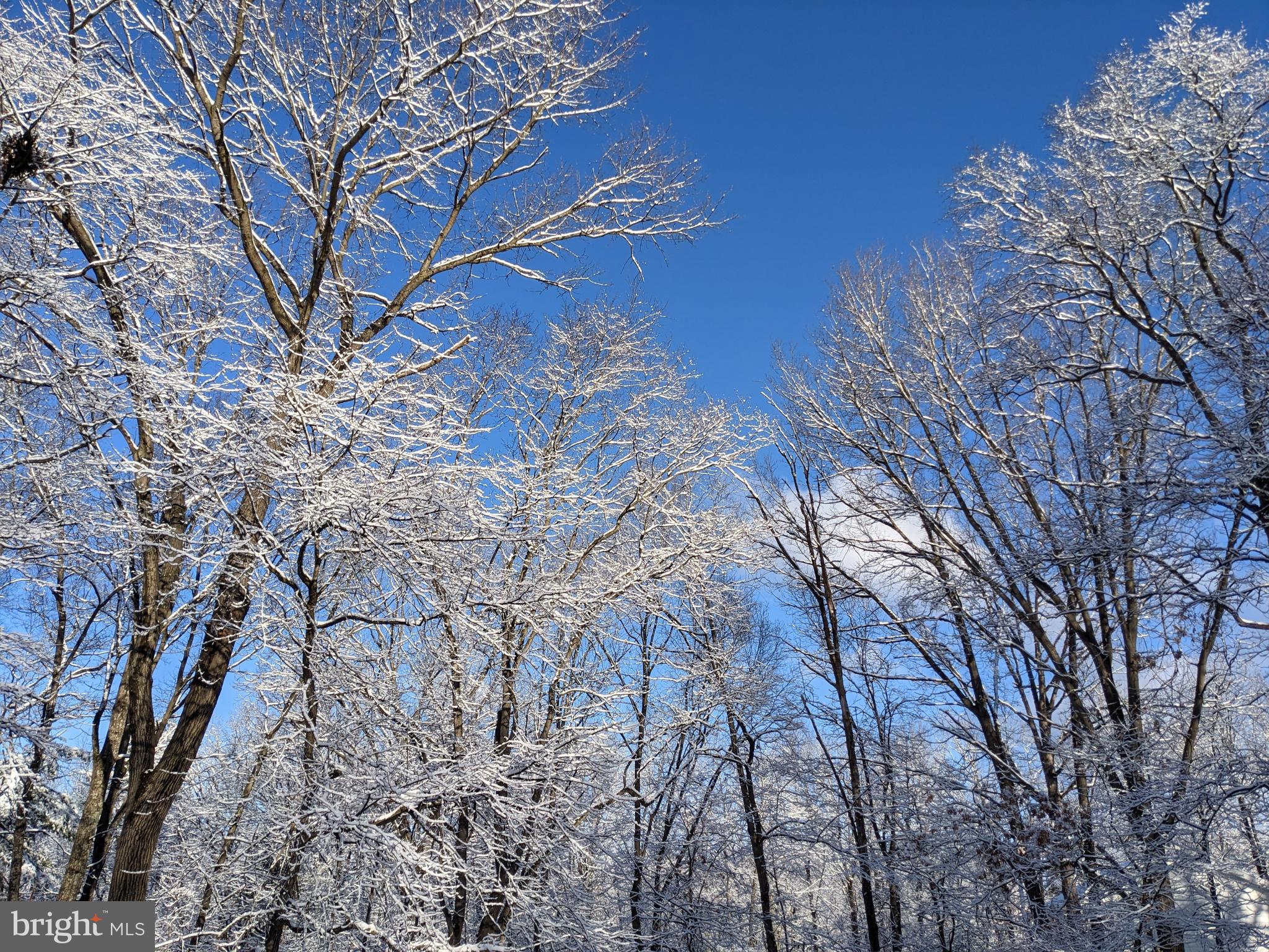 FOXCREST MANOR - Residential
