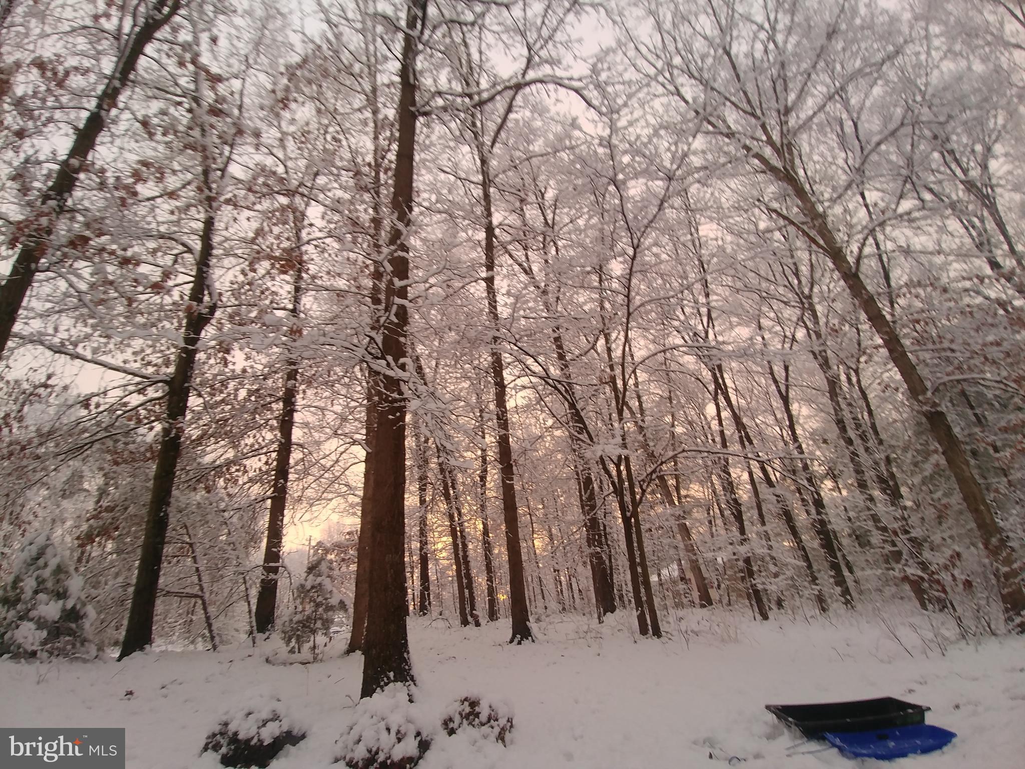 FOXCREST MANOR - Residential