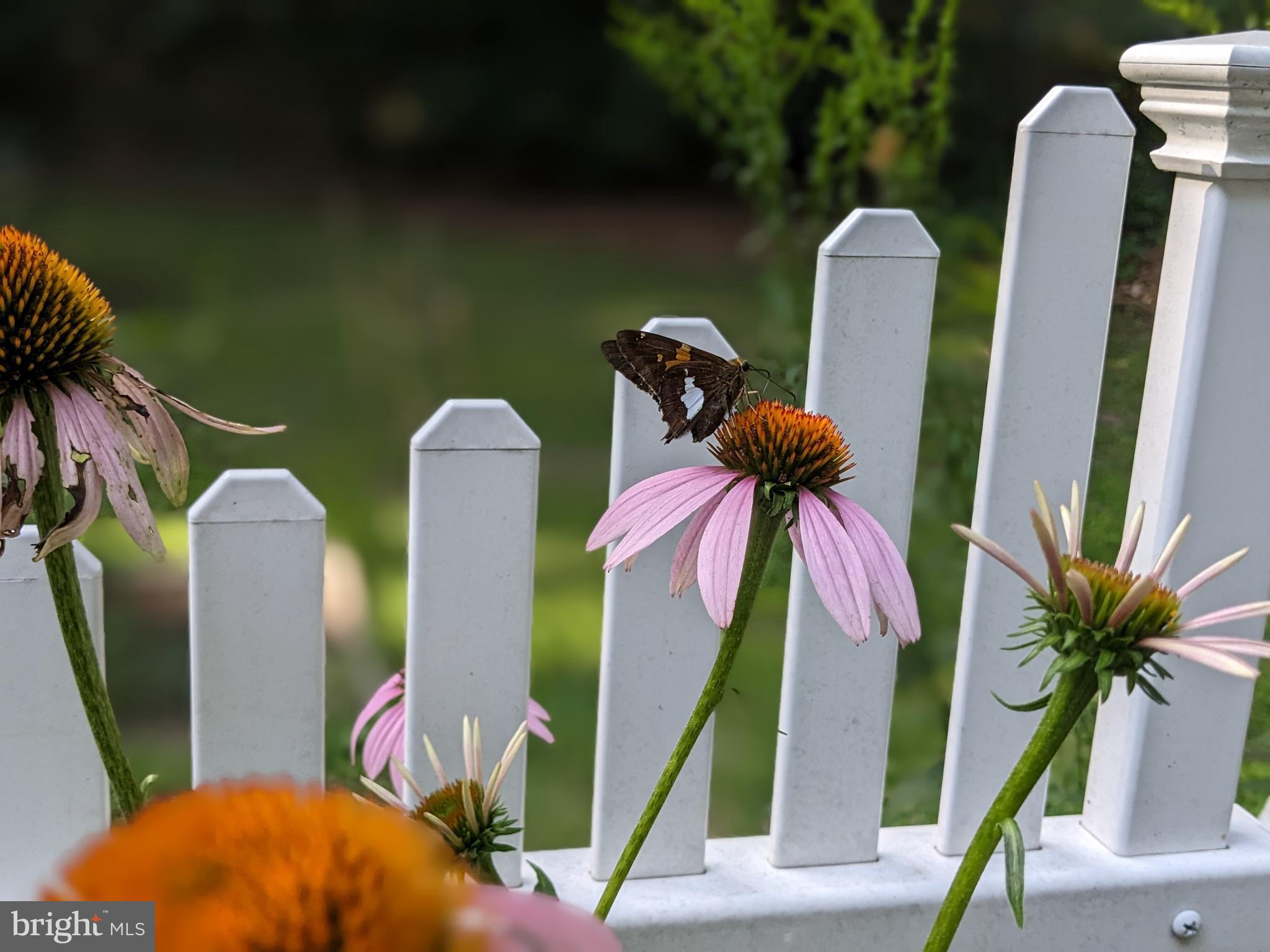 FOXCREST MANOR - Residential