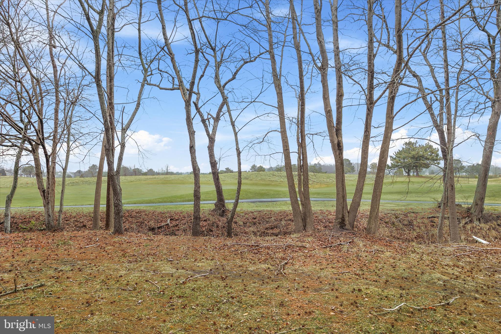 BEAR TRAP - Residential