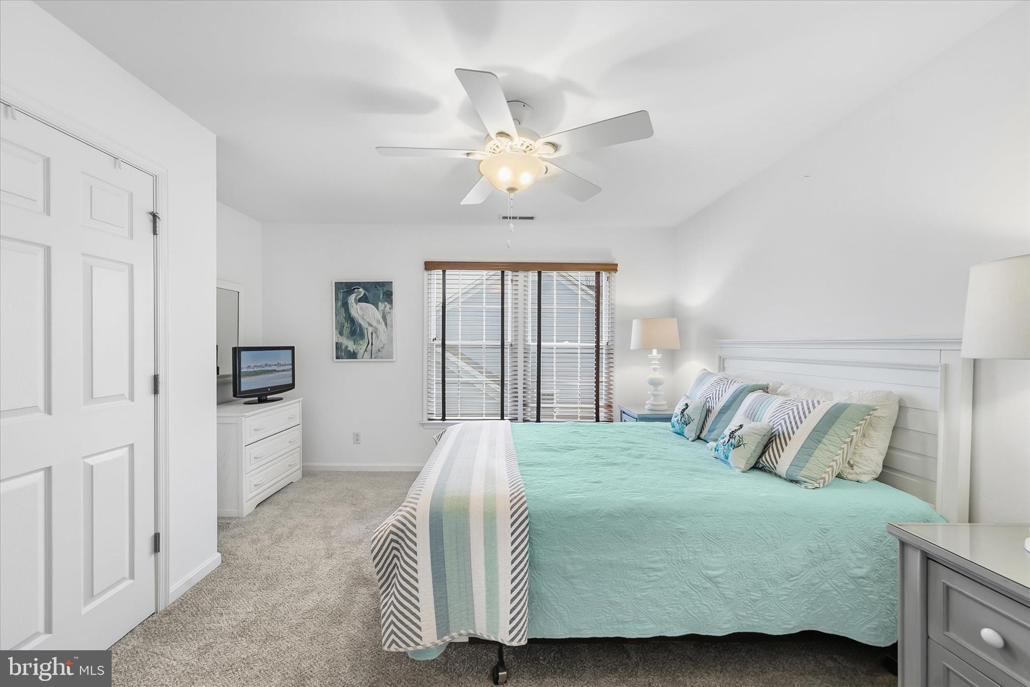 BEAR TRAP - Residential