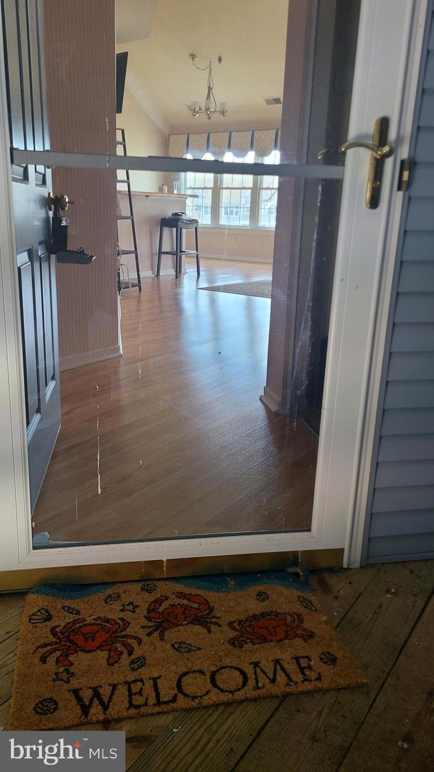 249 FOUNTAIN STREET D 249-D