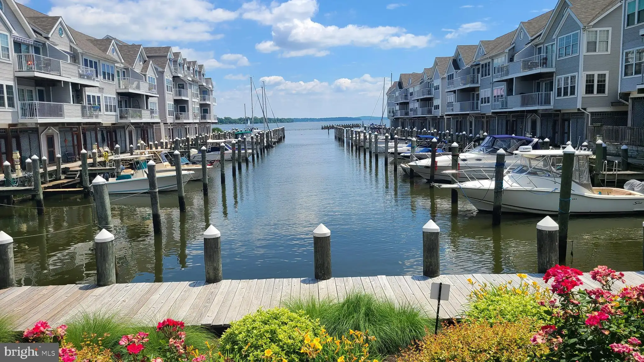 Additional image 32 of 249 Fountain Street Unit 249-D, Havre De Grace, MD 21078
