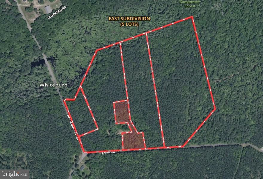 2.5+/- acre lot located on Whitesburg Road in Worcester County, MD. Lot 3 has an approved perc and is ready to build. Please view the survey provided in documents to see the location of approved septic area. There are three other approved lots available in this subdivision.   Covenants and restrictions have been recorded and are available in documents section or through the listing agent. Call listing agent prior to visiting property.