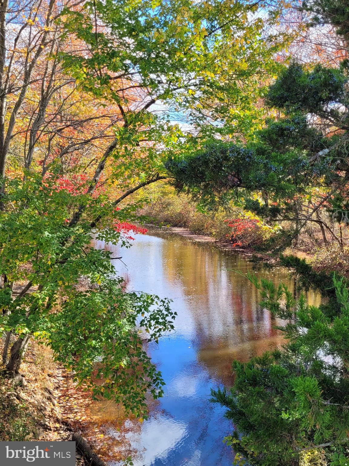 HAMPTON CHASE - Residential