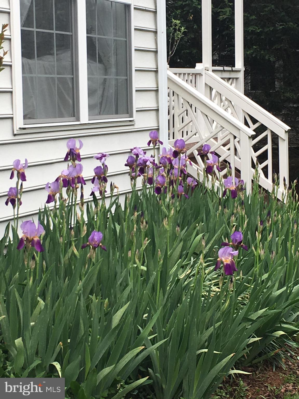 LOWES ISLAND - Residential