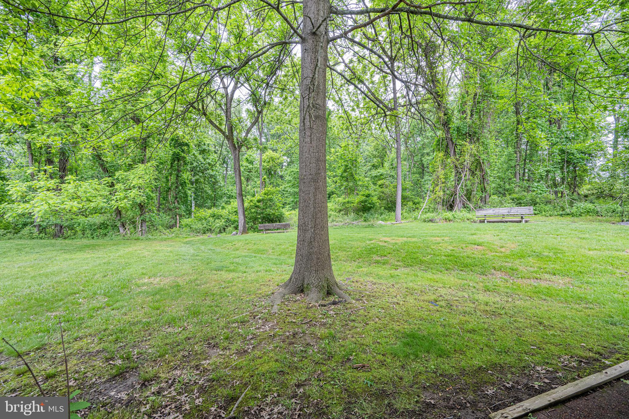 BRAEBROOKE - Residential Lease