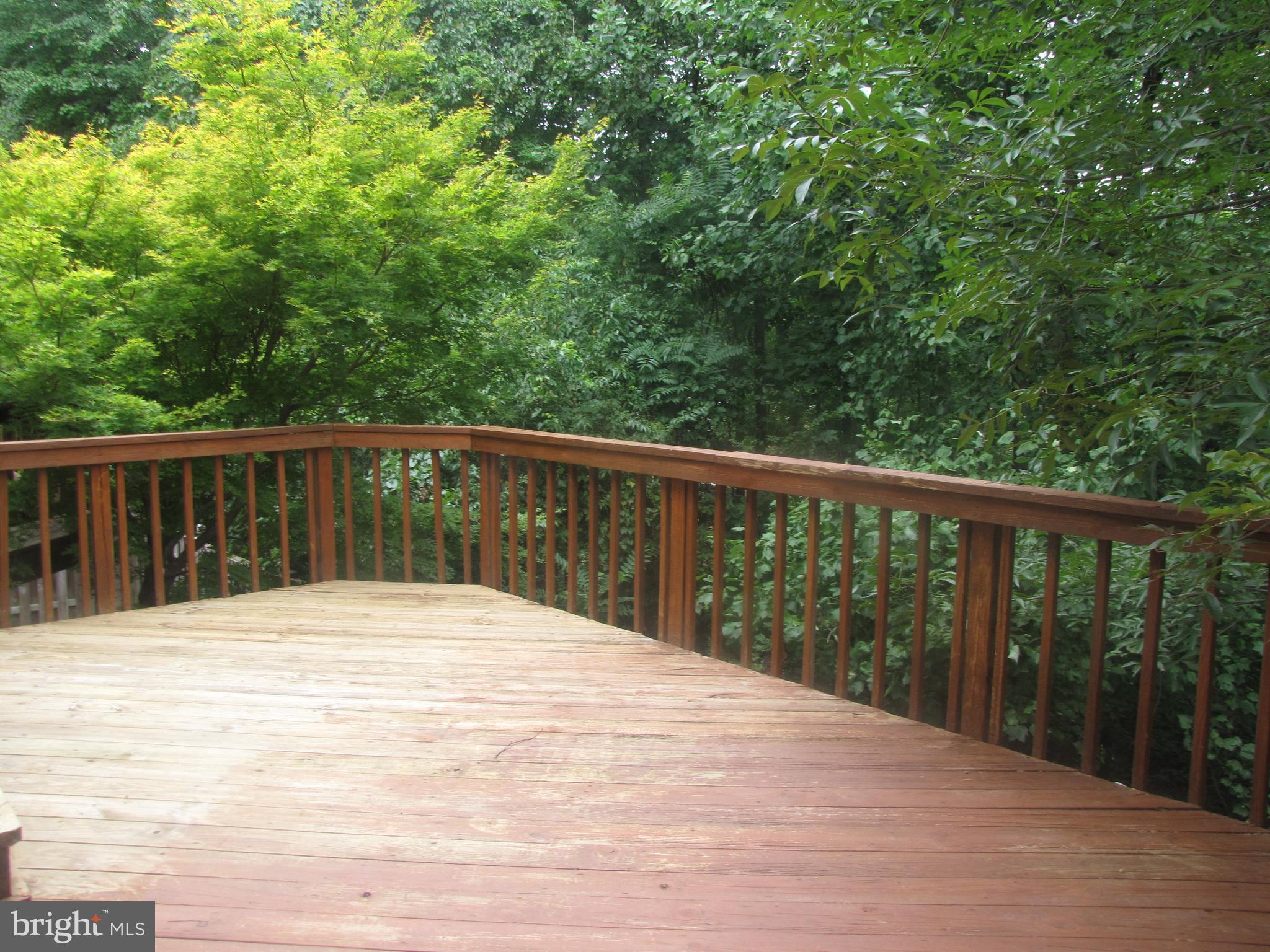 HUNTER VILLAGE - Residential