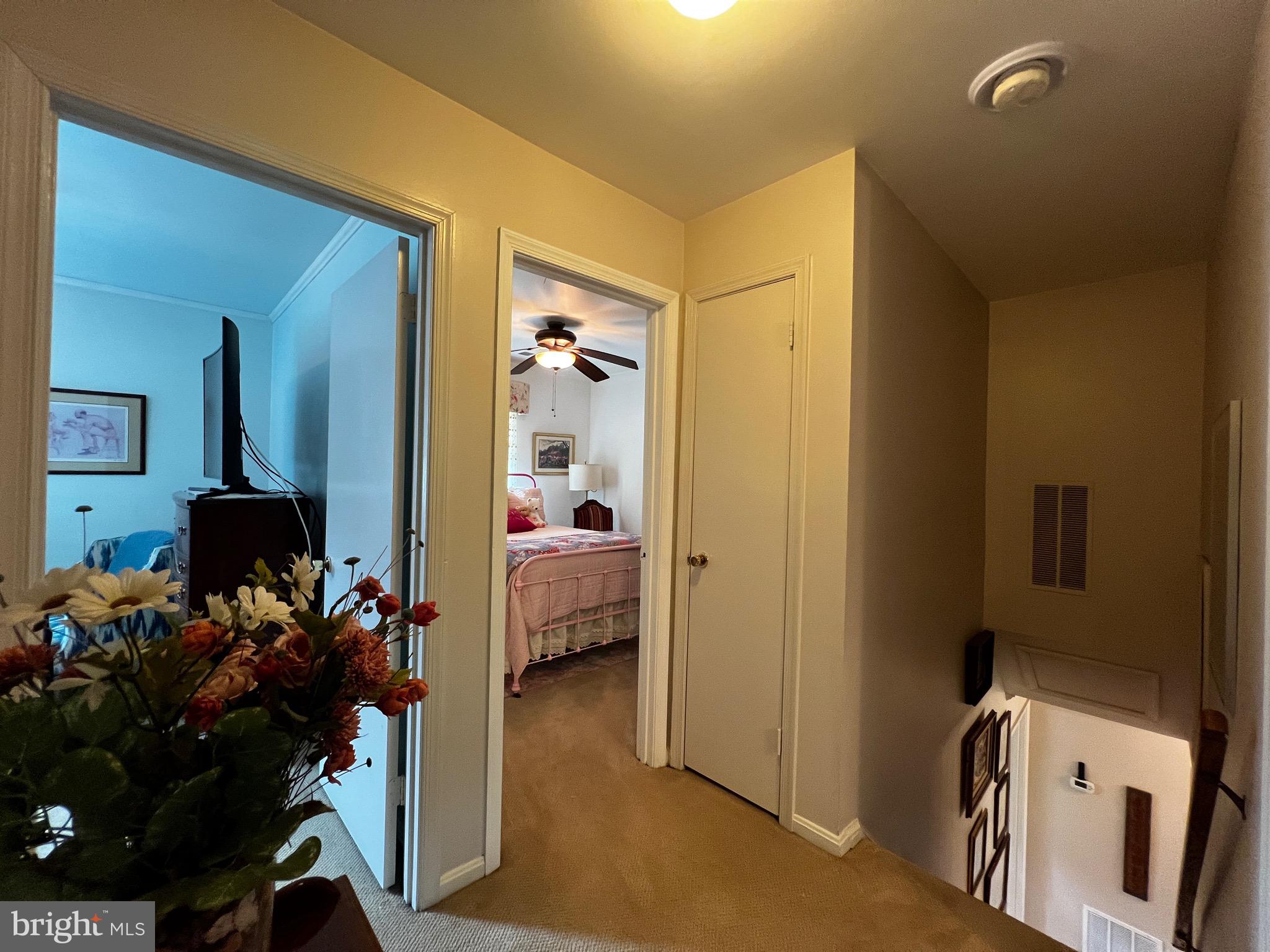 PROSPECT KNOLLS - Residential