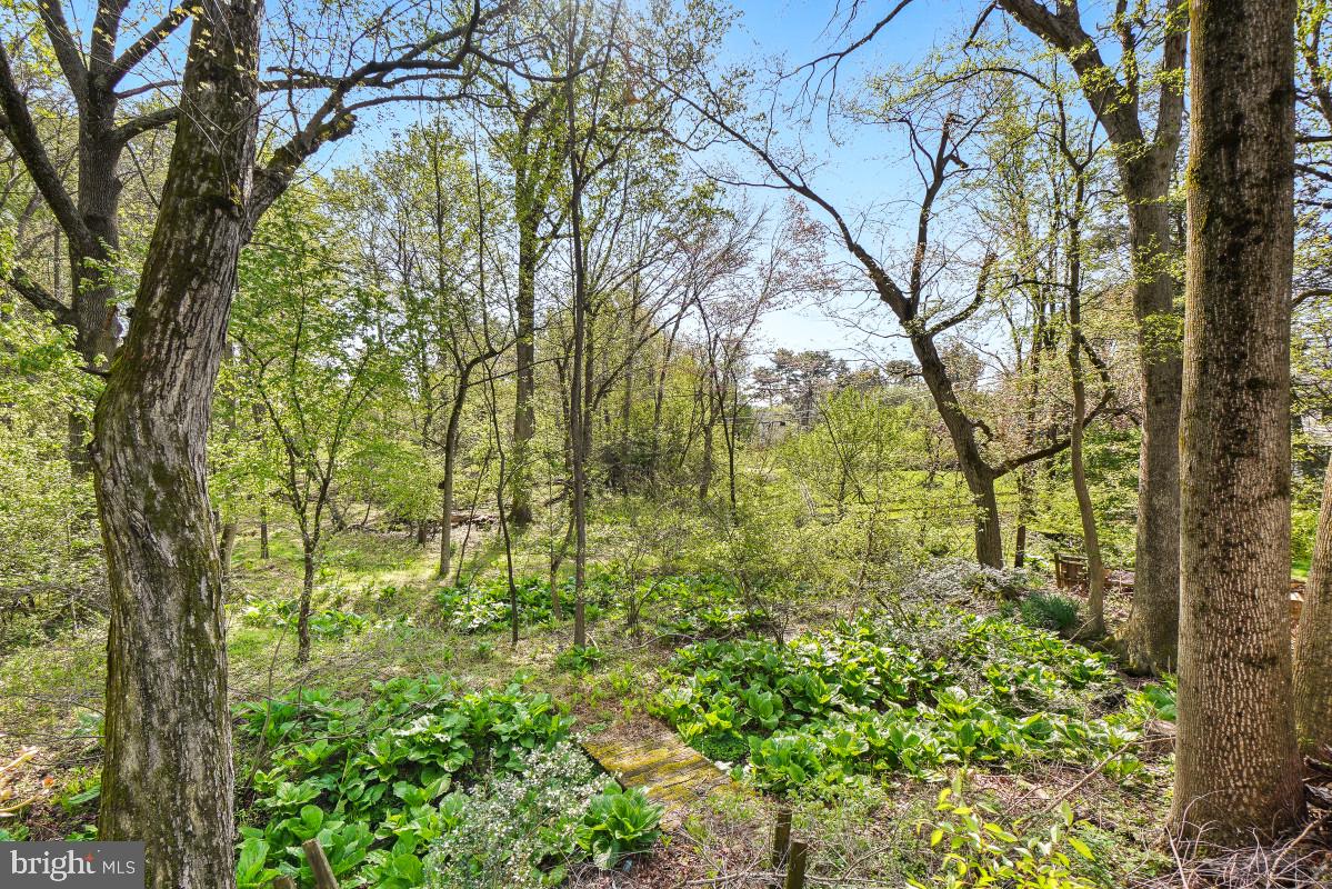 VALLEY MEADE - Residential