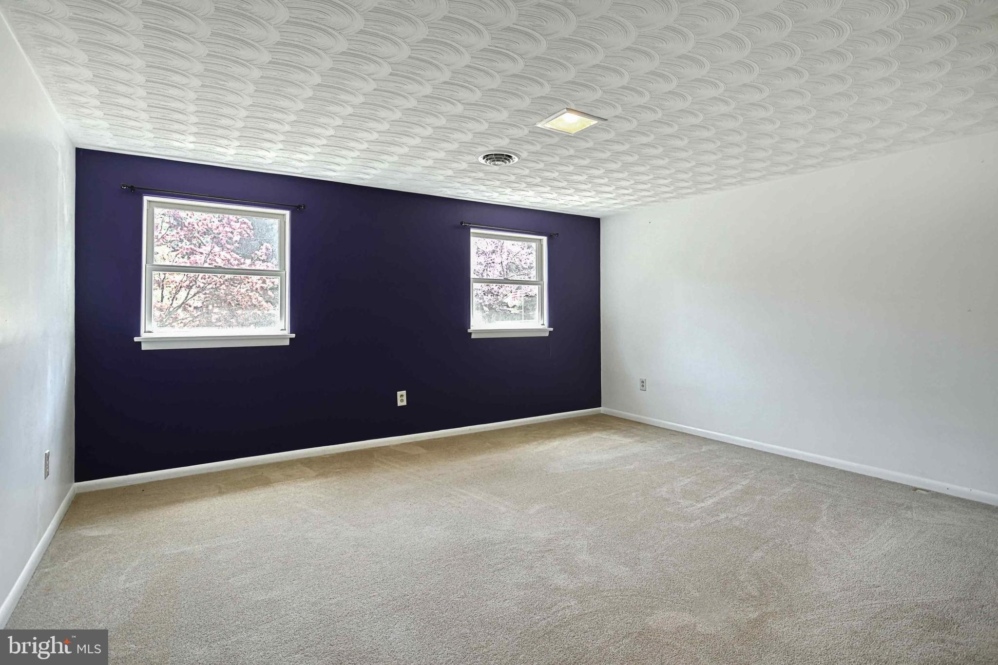 SPRINGETTSBURY TWP - Residential