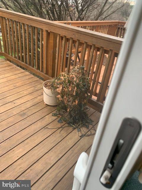 AMBERFIELD - Residential Lease