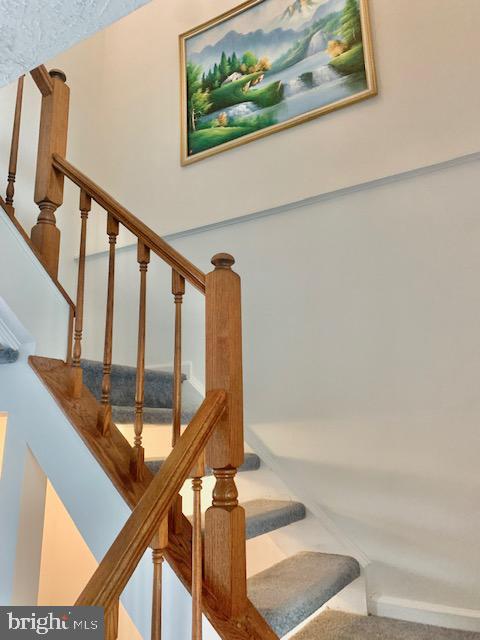 AMBERFIELD - Residential Lease