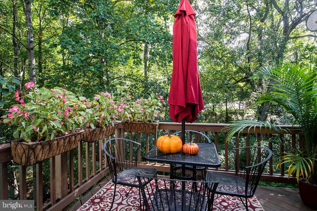 NEWPORT SPRINGS - Residential