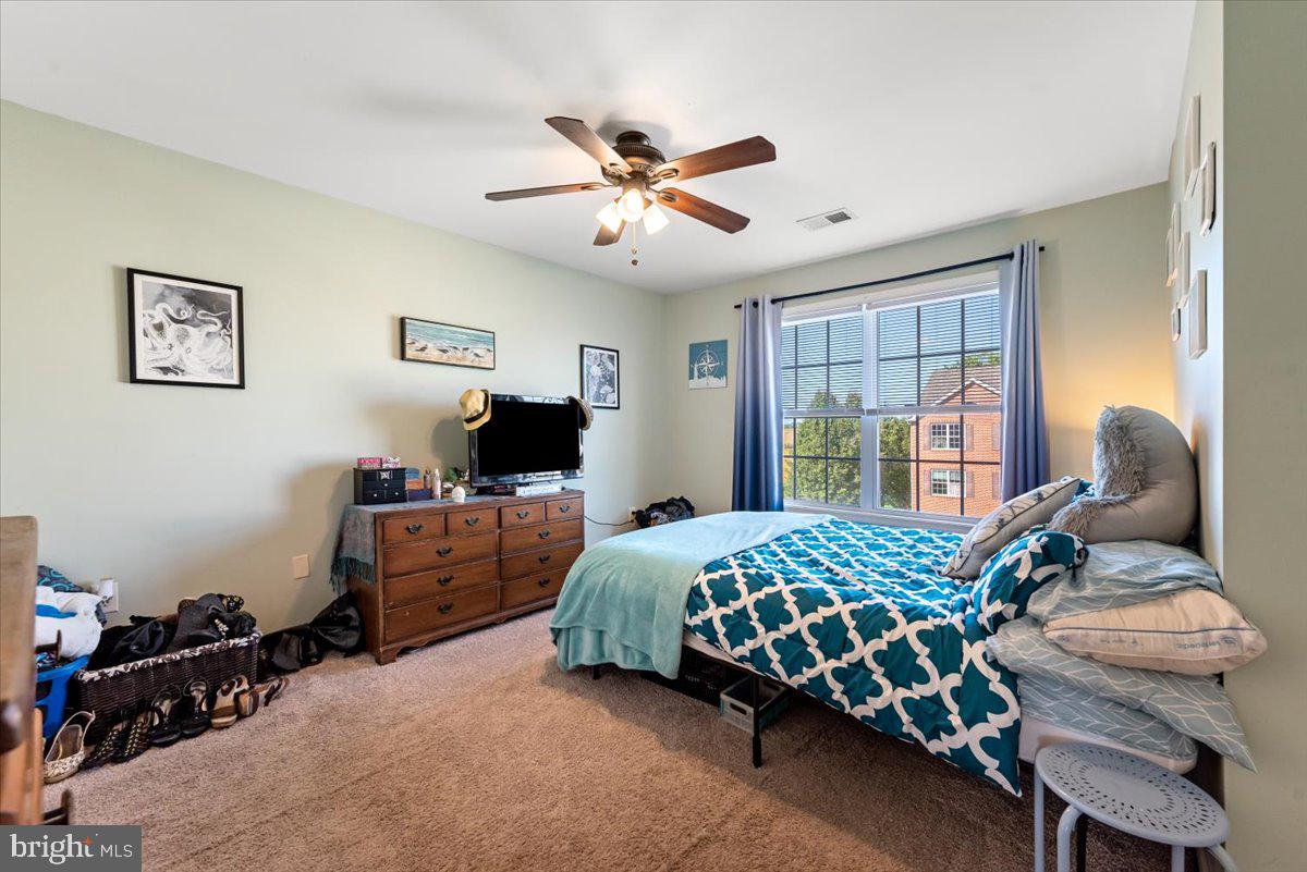 THE COVE - Residential