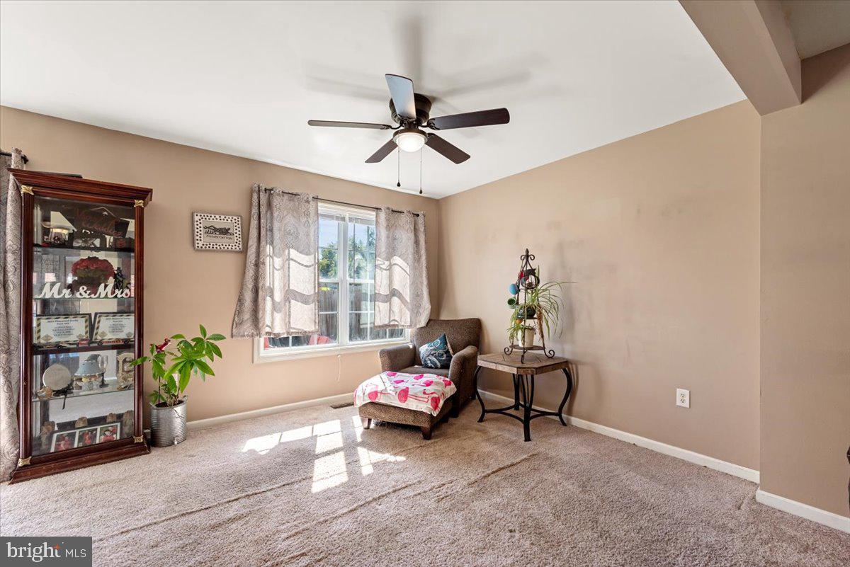 THE COVE - Residential