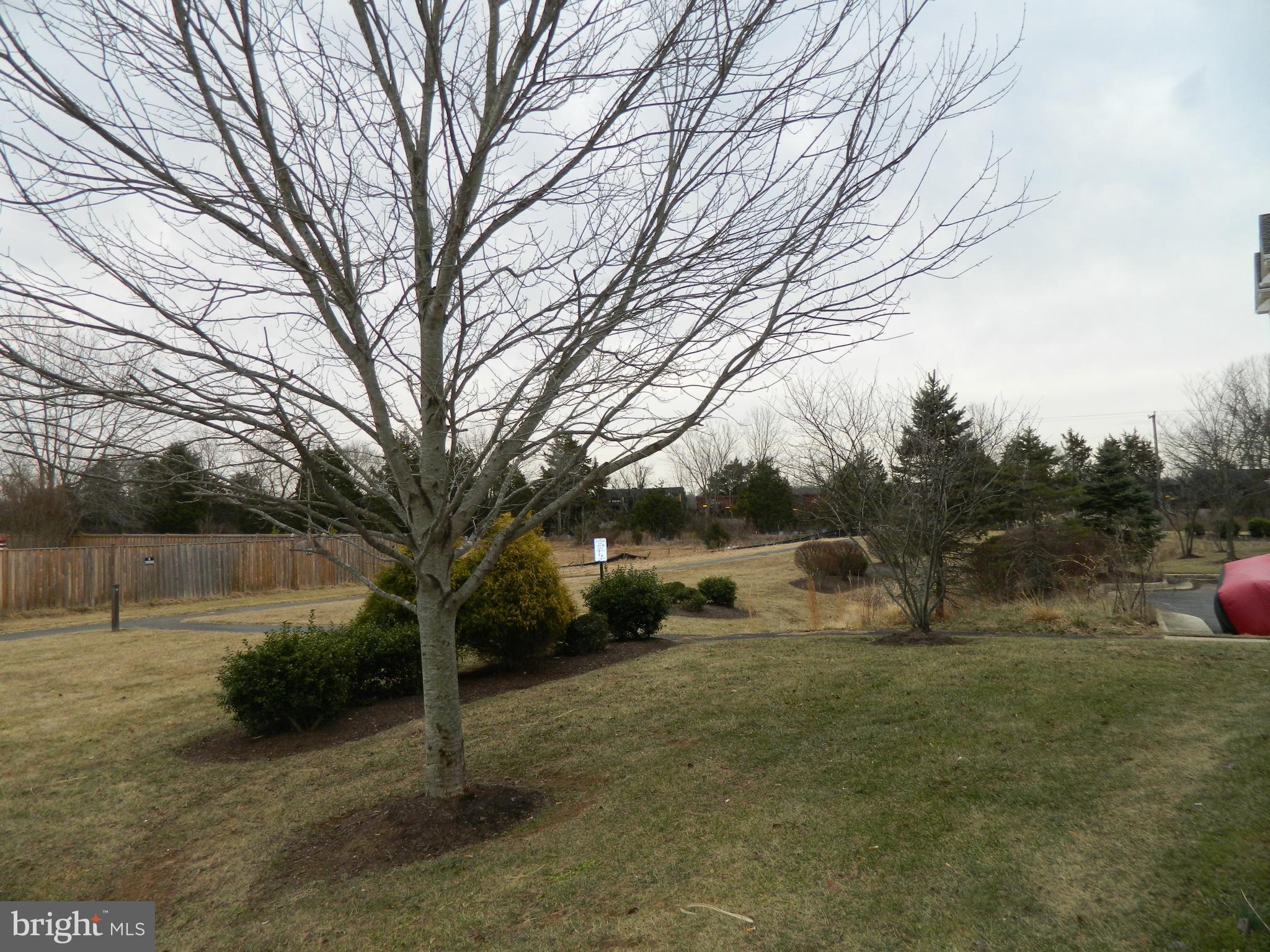 WAVERLY STATION - Residential