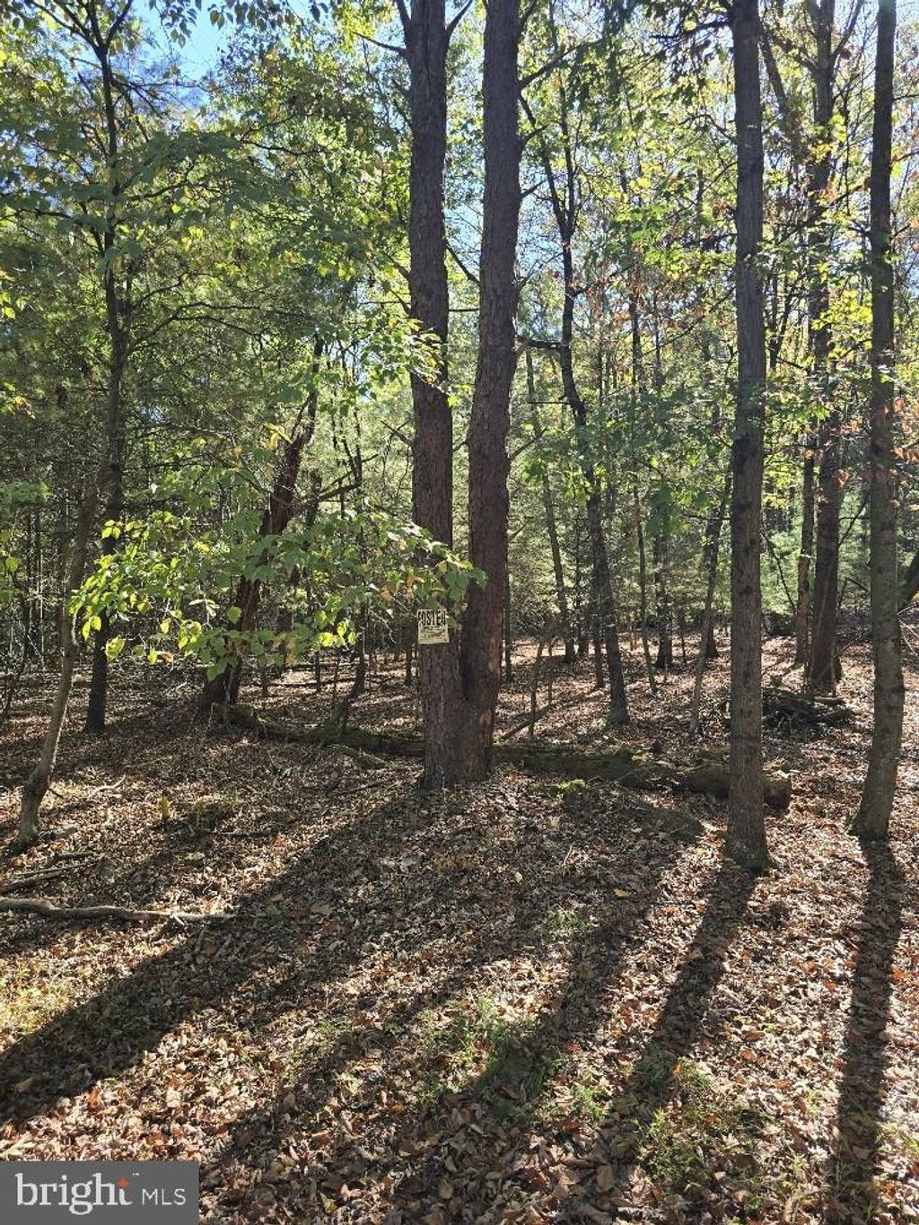 Photo of 0 Back Road, HALIFAX, PA 17032 (MLS # PADA2050654)
