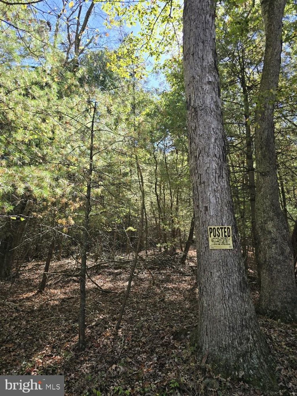 Photo of 0 Back Road, HALIFAX, PA 17032 (MLS # PADA2050654)