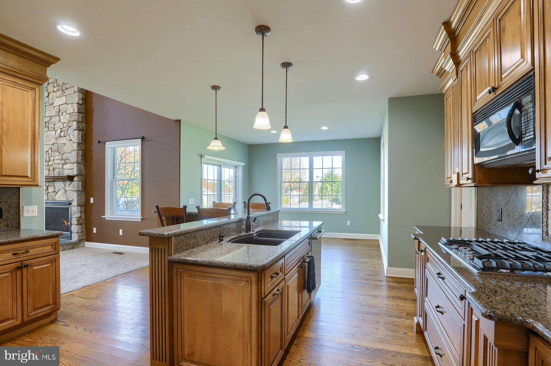 OLD IRON ESTATES - Residential