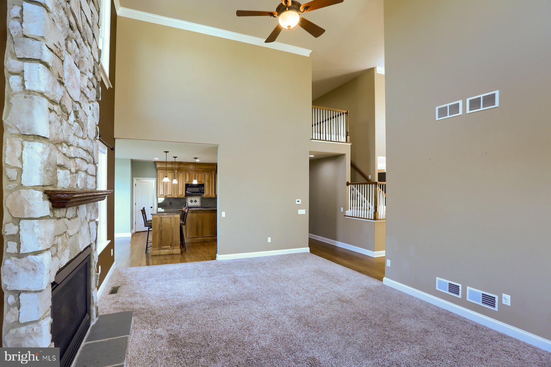 OLD IRON ESTATES - Residential