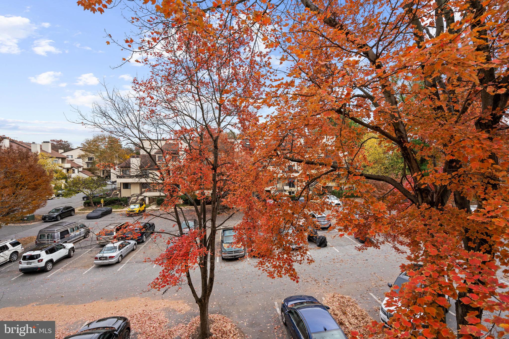 CHRISTOPHER COURT - Residential