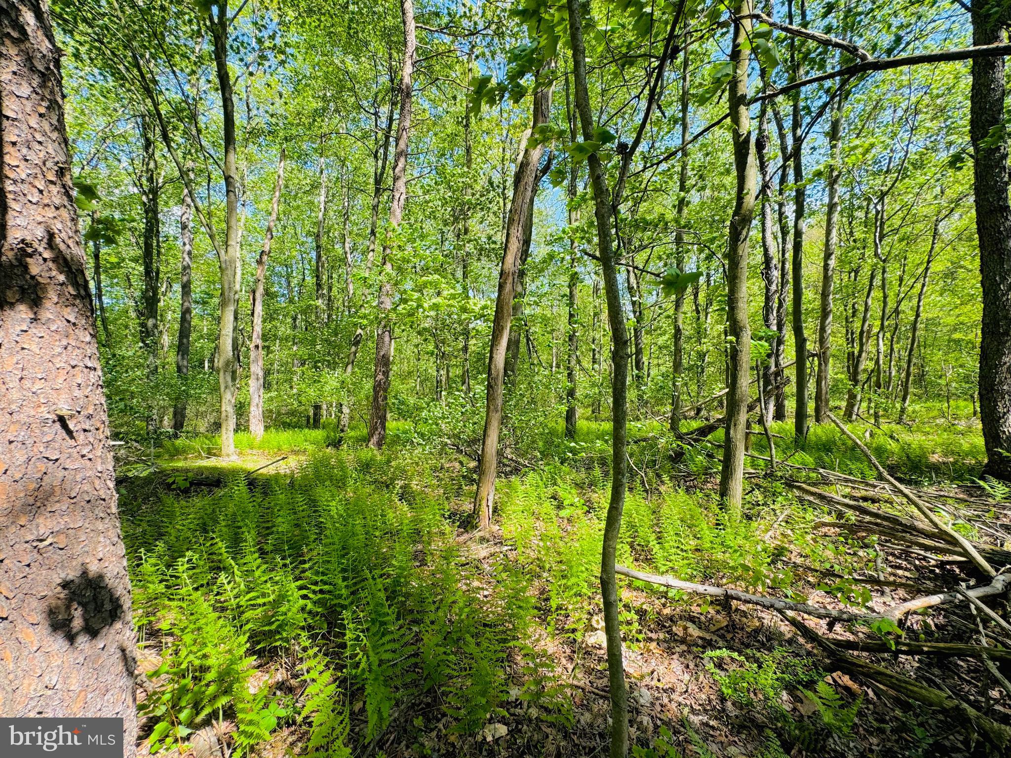 Lot: 37 PARADISE POINT