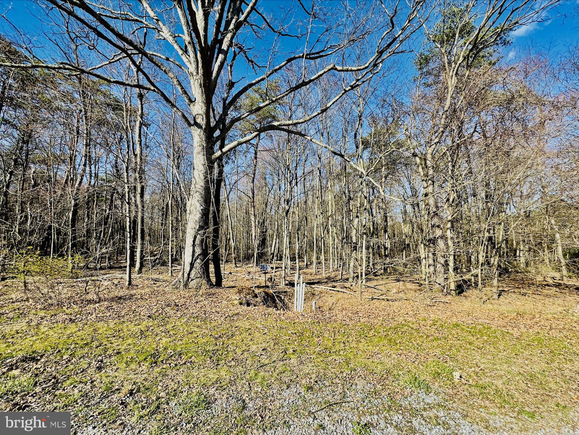 Lot: 37 PARADISE POINT