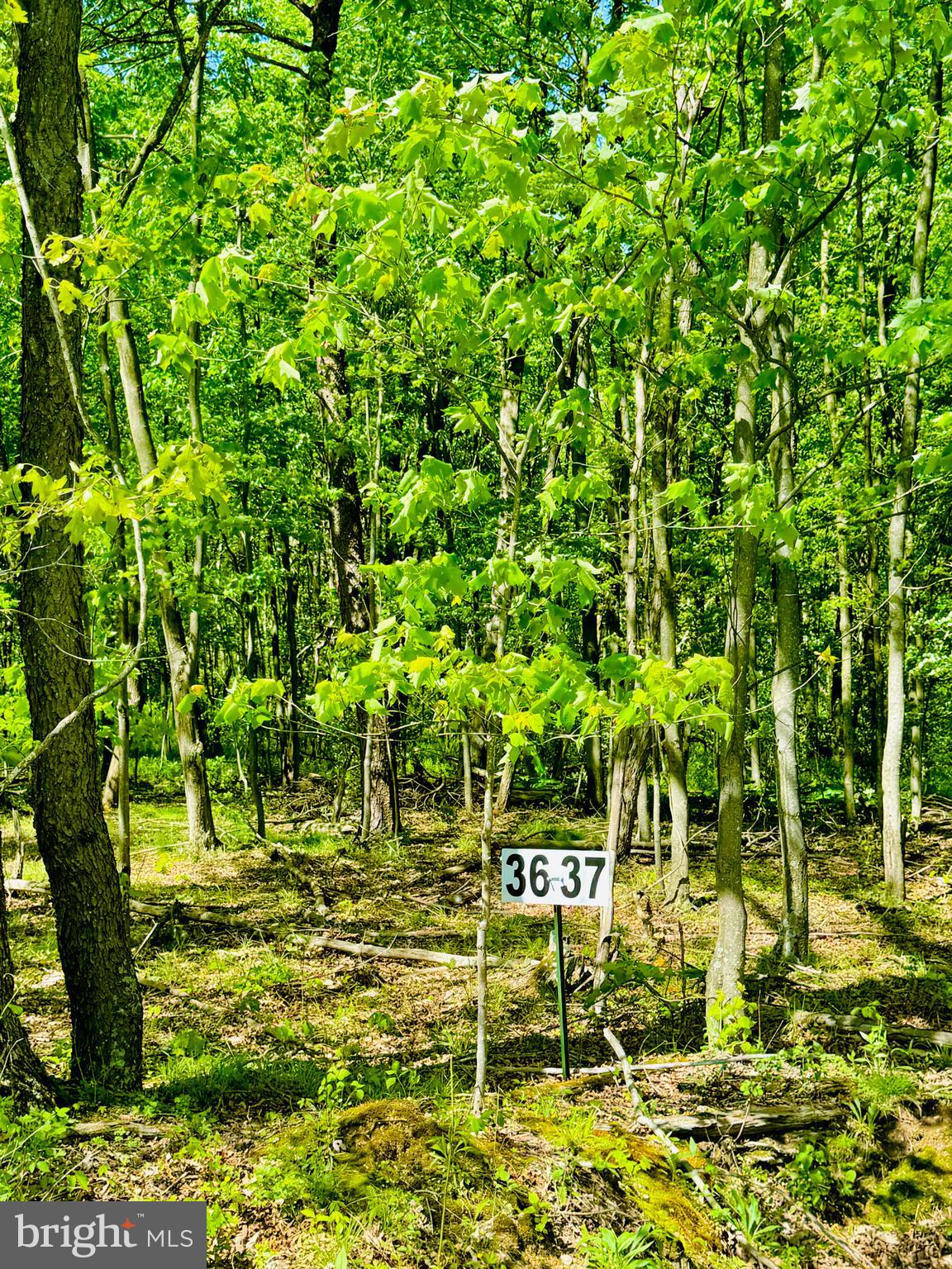 Lot: 37 PARADISE POINT