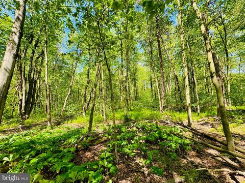 Vacant Land For Sale - LOT: 37 Paradise Point<br/> JAMES CREEK, PA 16657