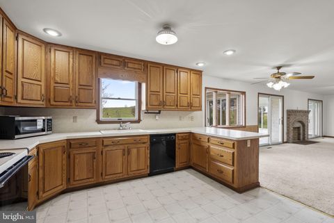 Tiny photo for 9224 Ball Road, IJAMSVILLE, MD 21754 (MLS # MDFR2074684)