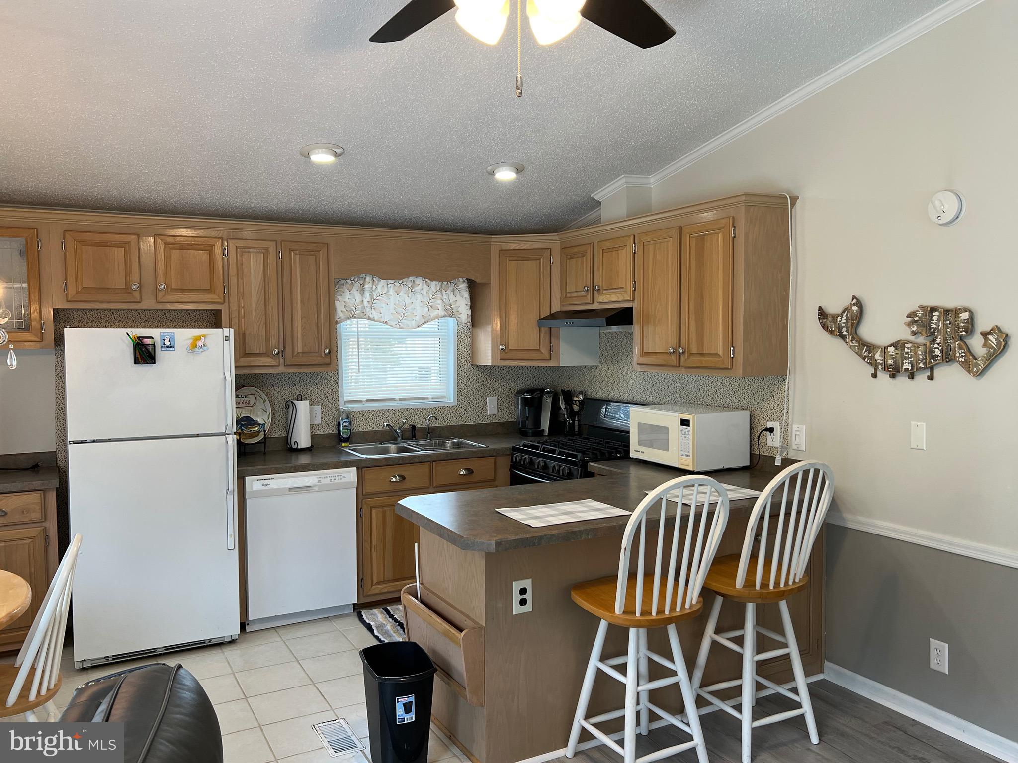 ASSATEAGUE PT RESORT - Residential