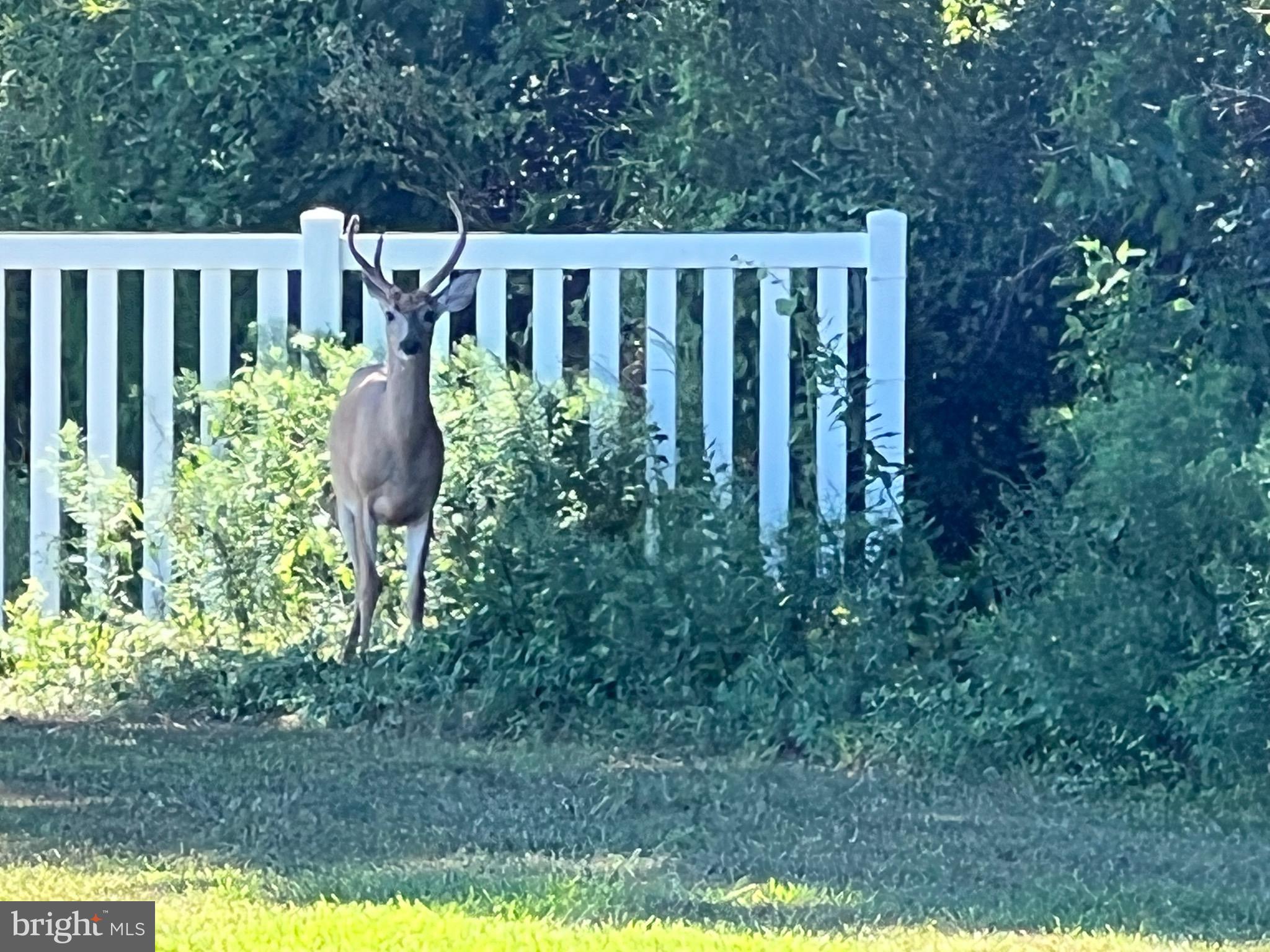 ASSATEAGUE PT RESORT - Residential