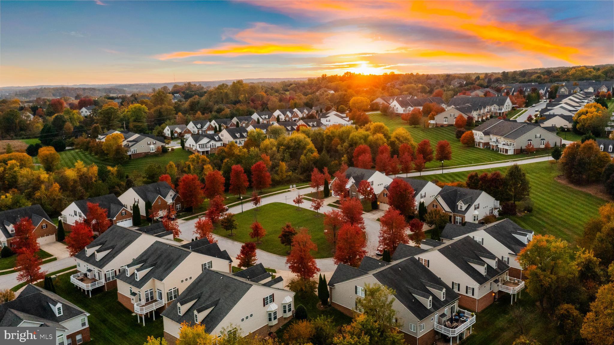 ELLICOTT MEADOWS - Residential