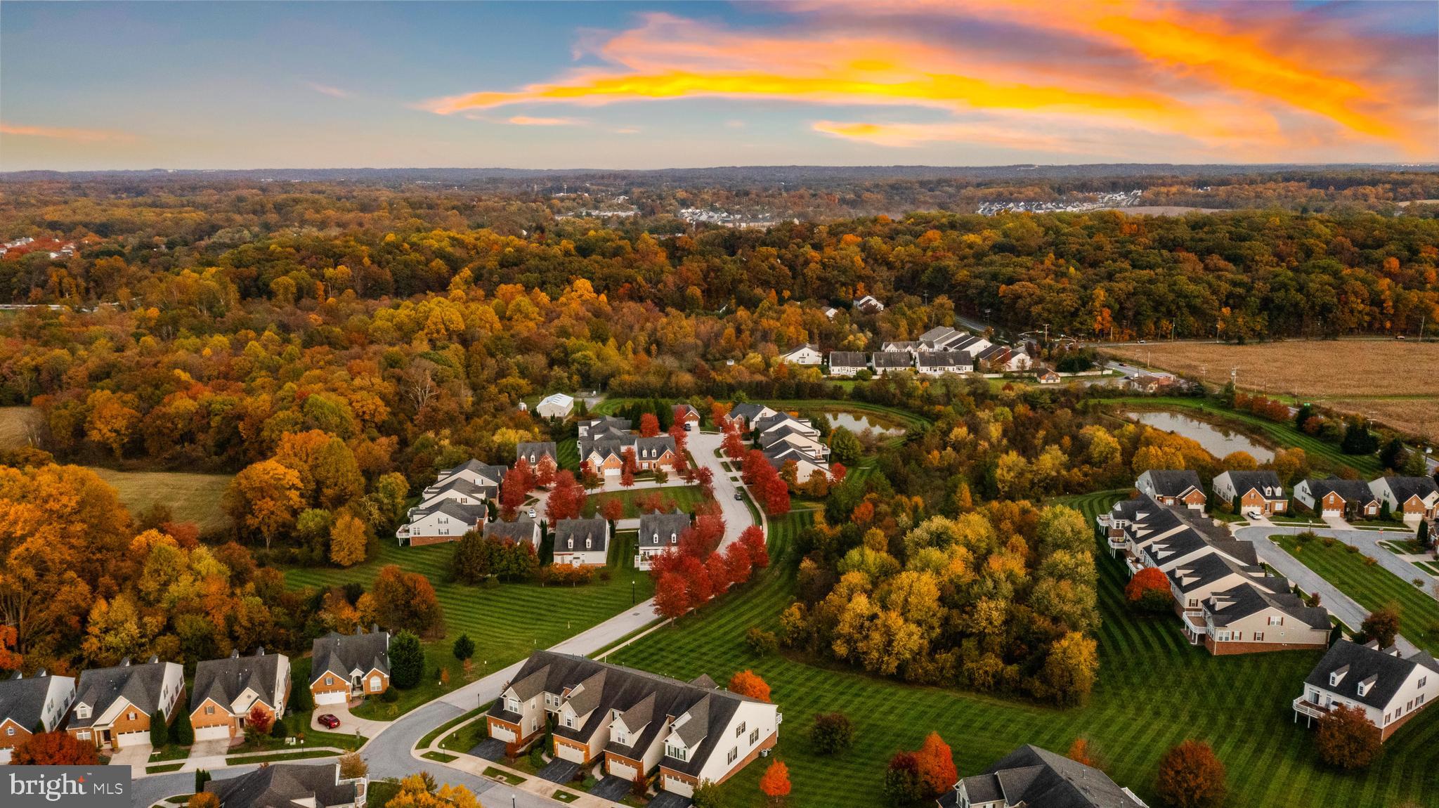 ELLICOTT MEADOWS - Residential