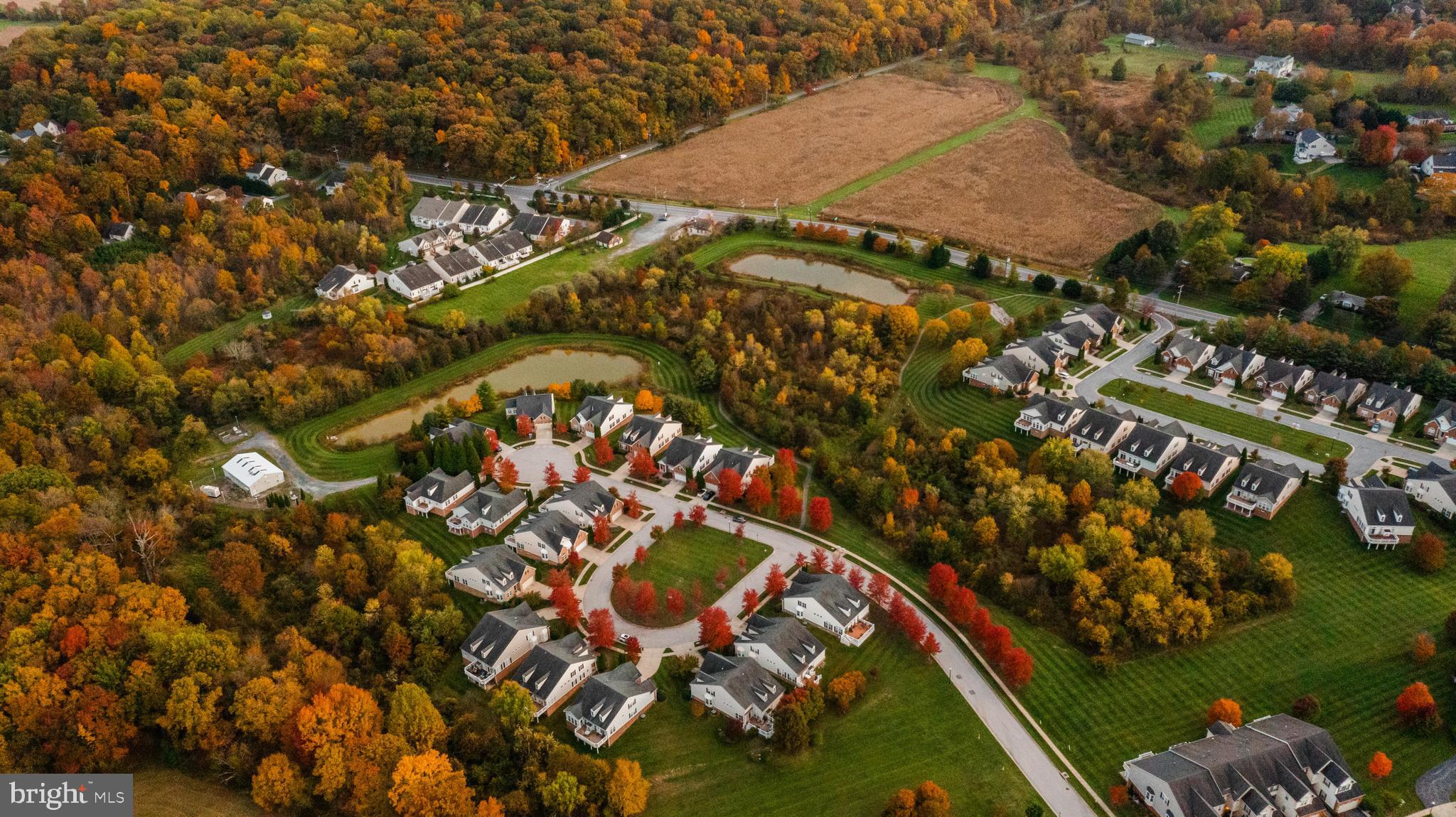 ELLICOTT MEADOWS - Residential