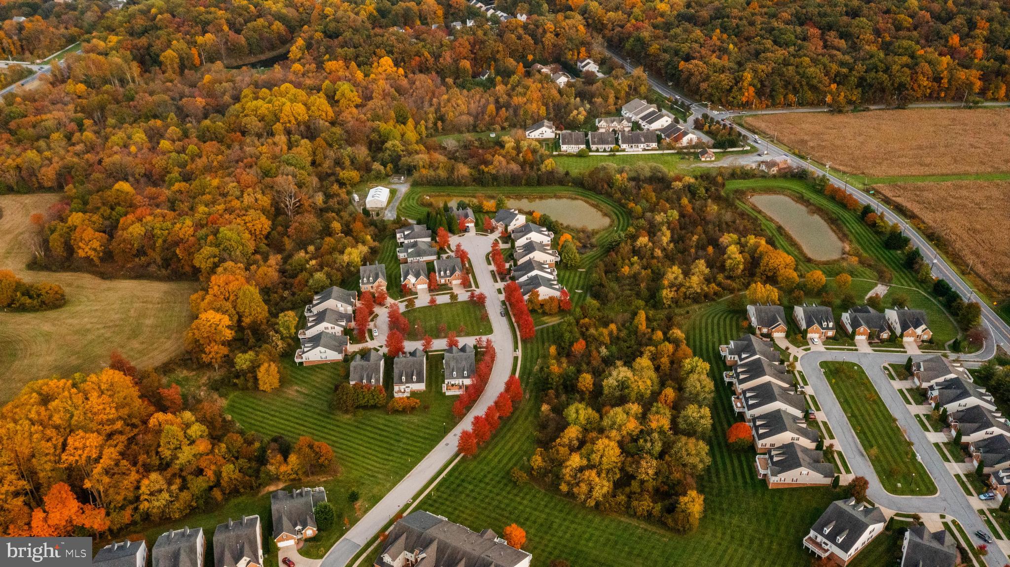 ELLICOTT MEADOWS - Residential