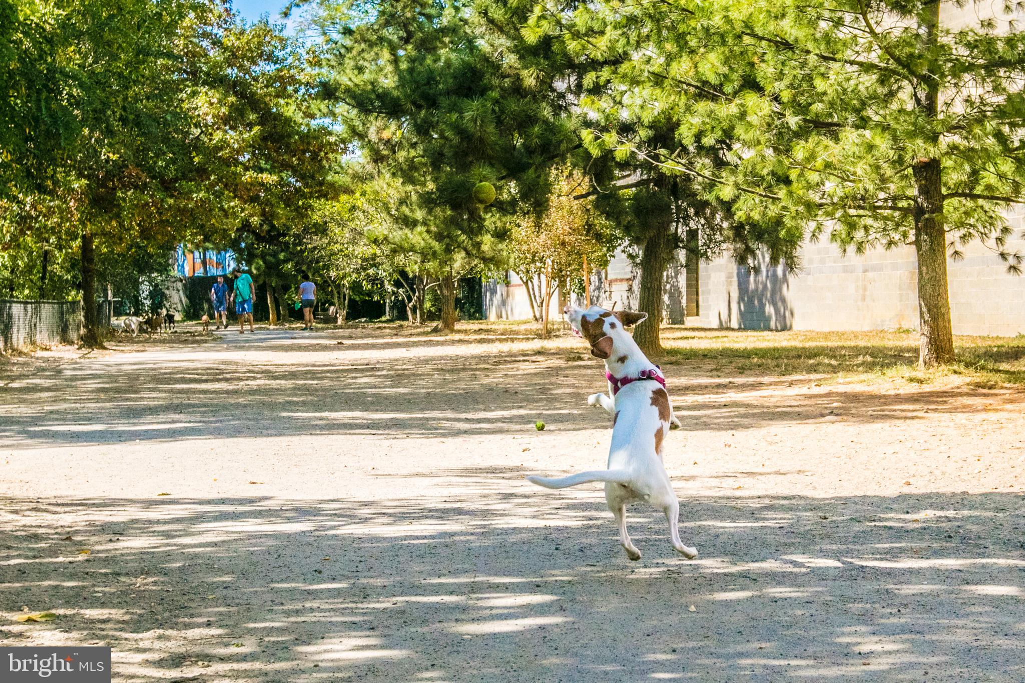 FAIRLINGTON - Residential