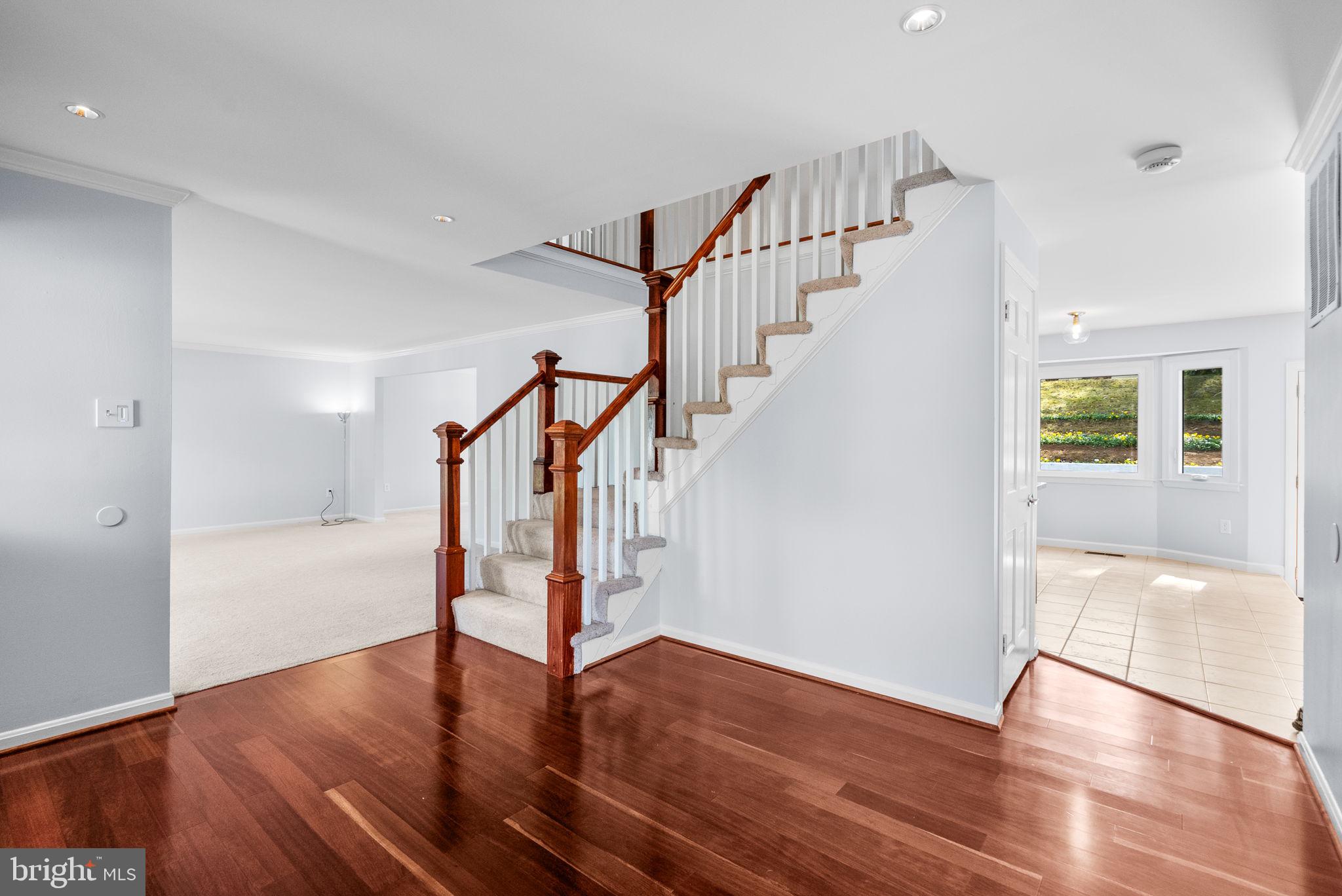 203 BONHILL DRIVE