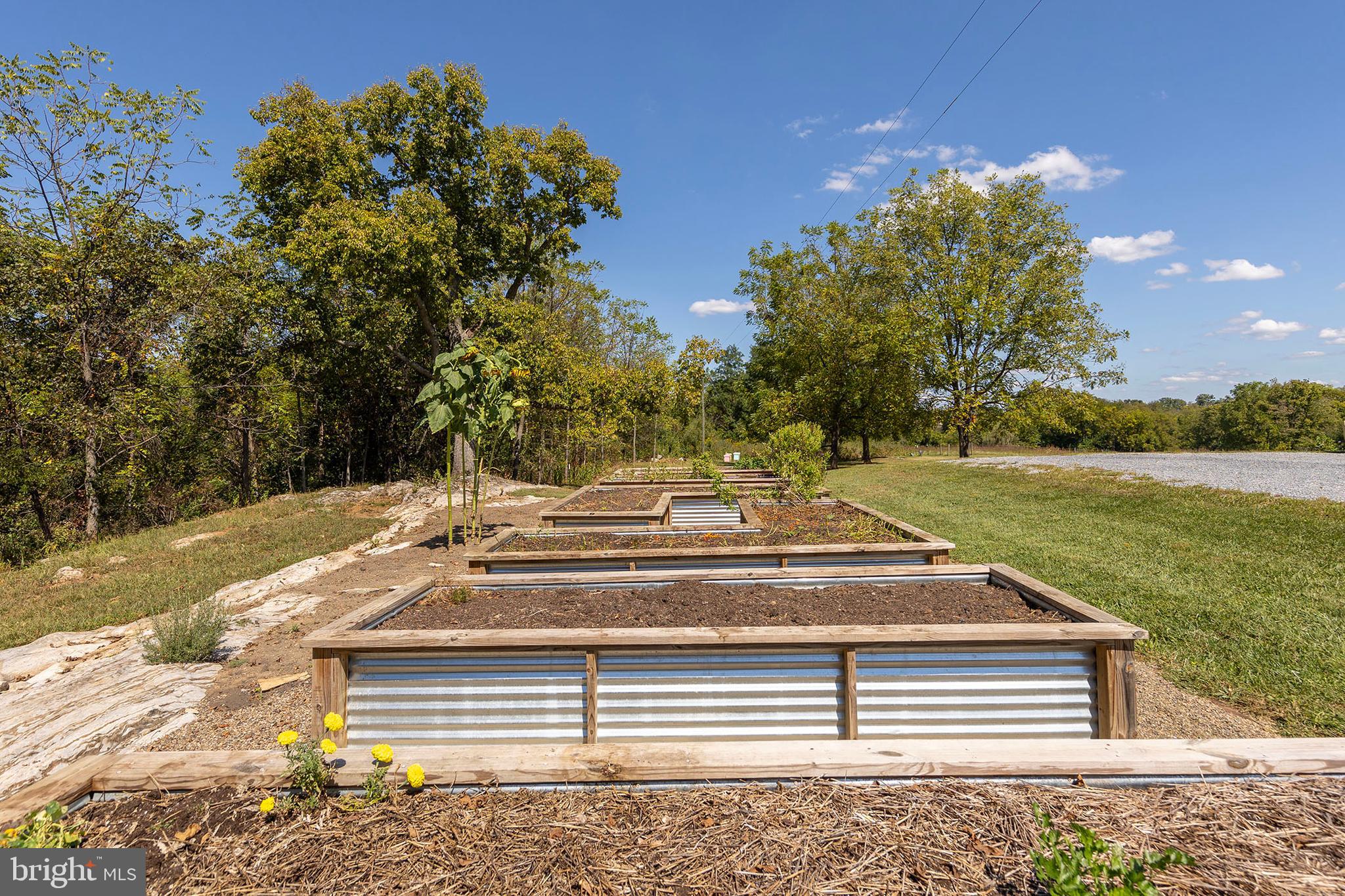 NONE AVAILABLE - Farm