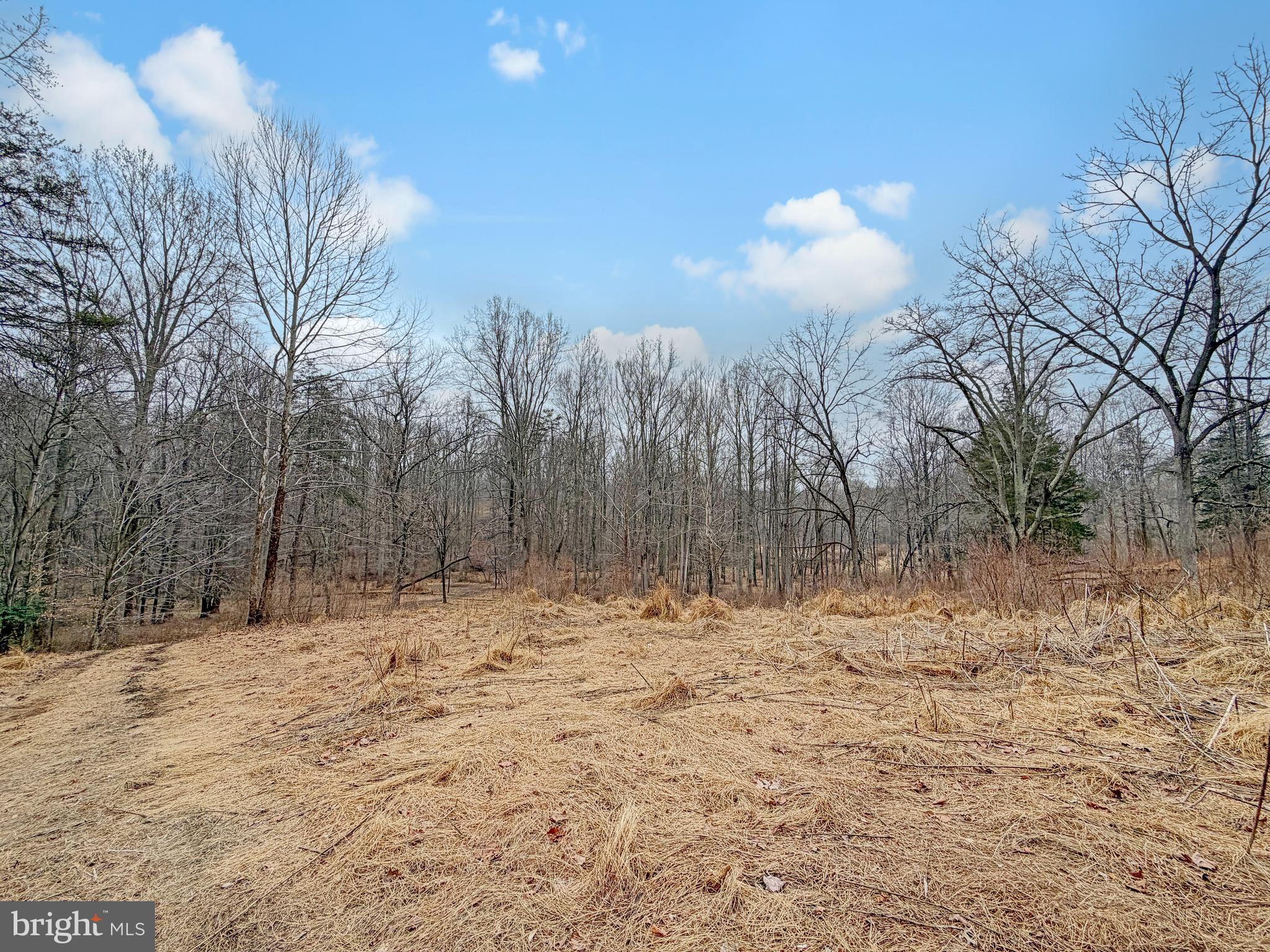 7017-A UNION MILL ROAD