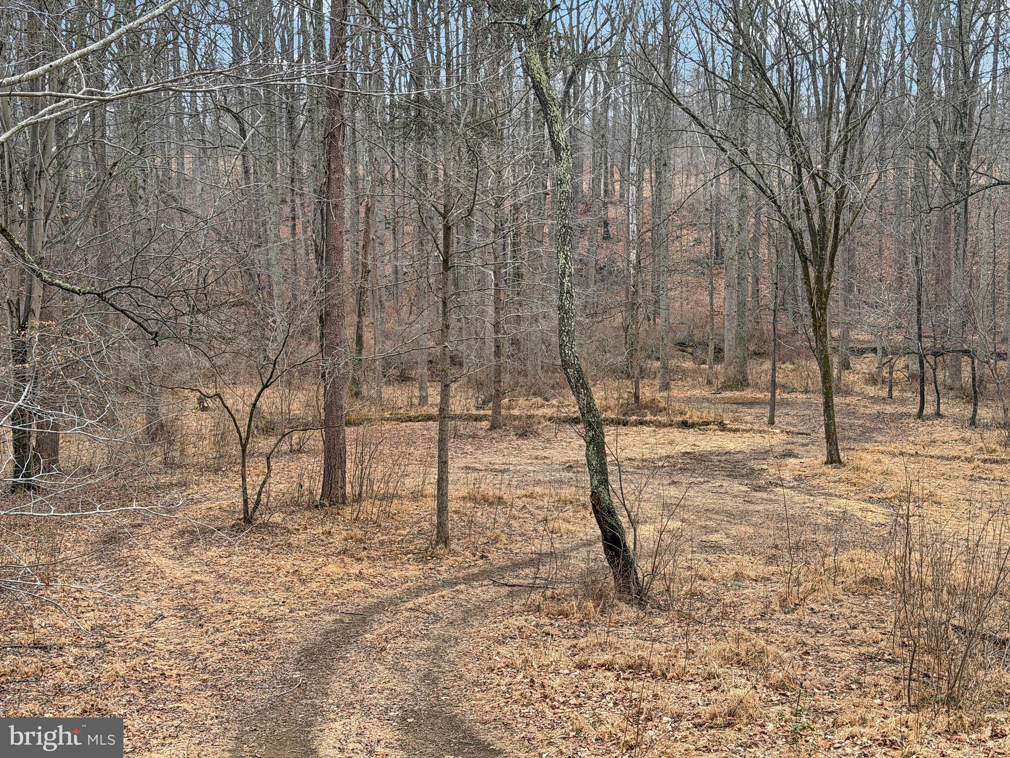 SOUTHERN KNOLL FARMS - Land