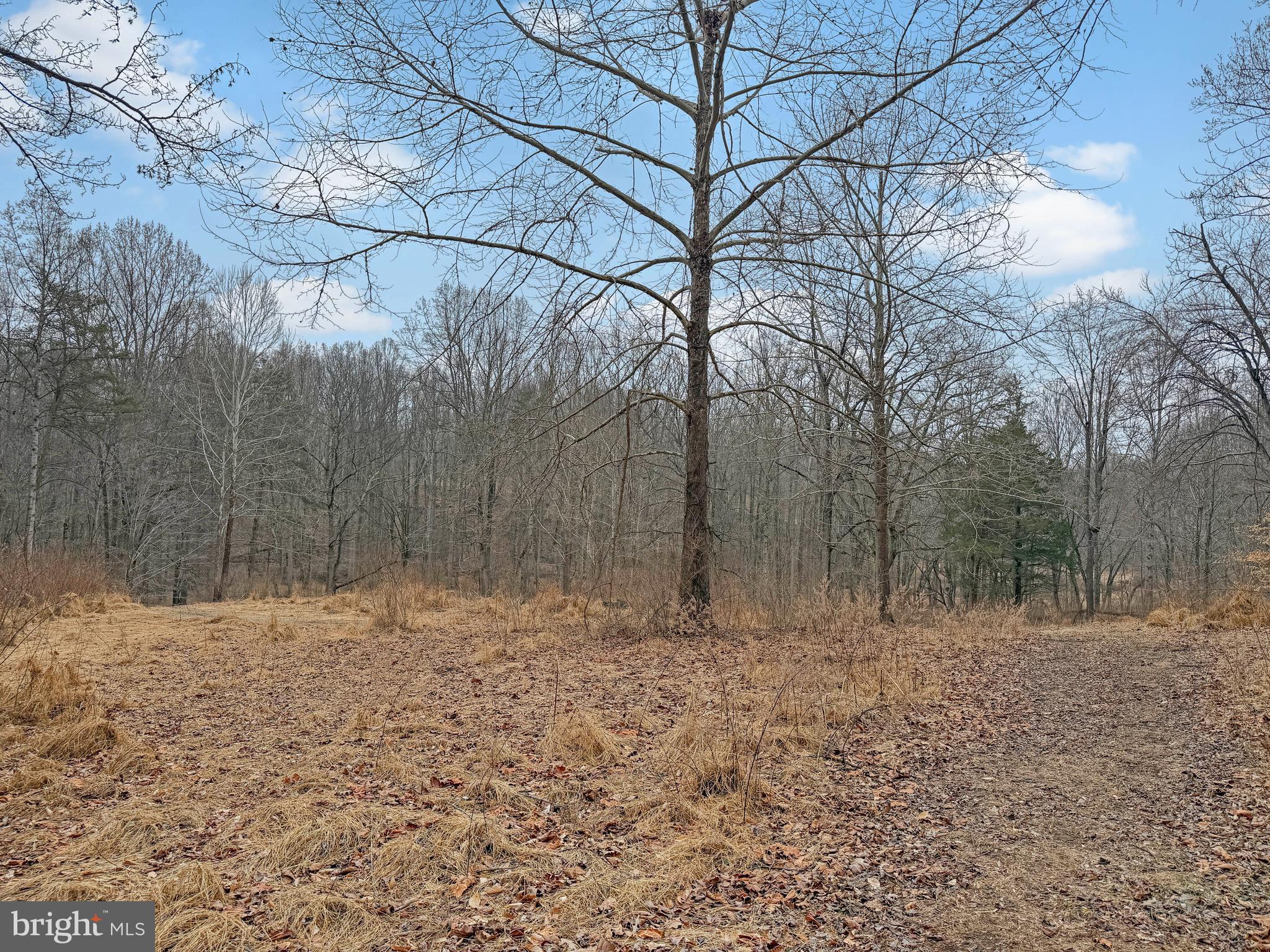 SOUTHERN KNOLL FARMS - Land