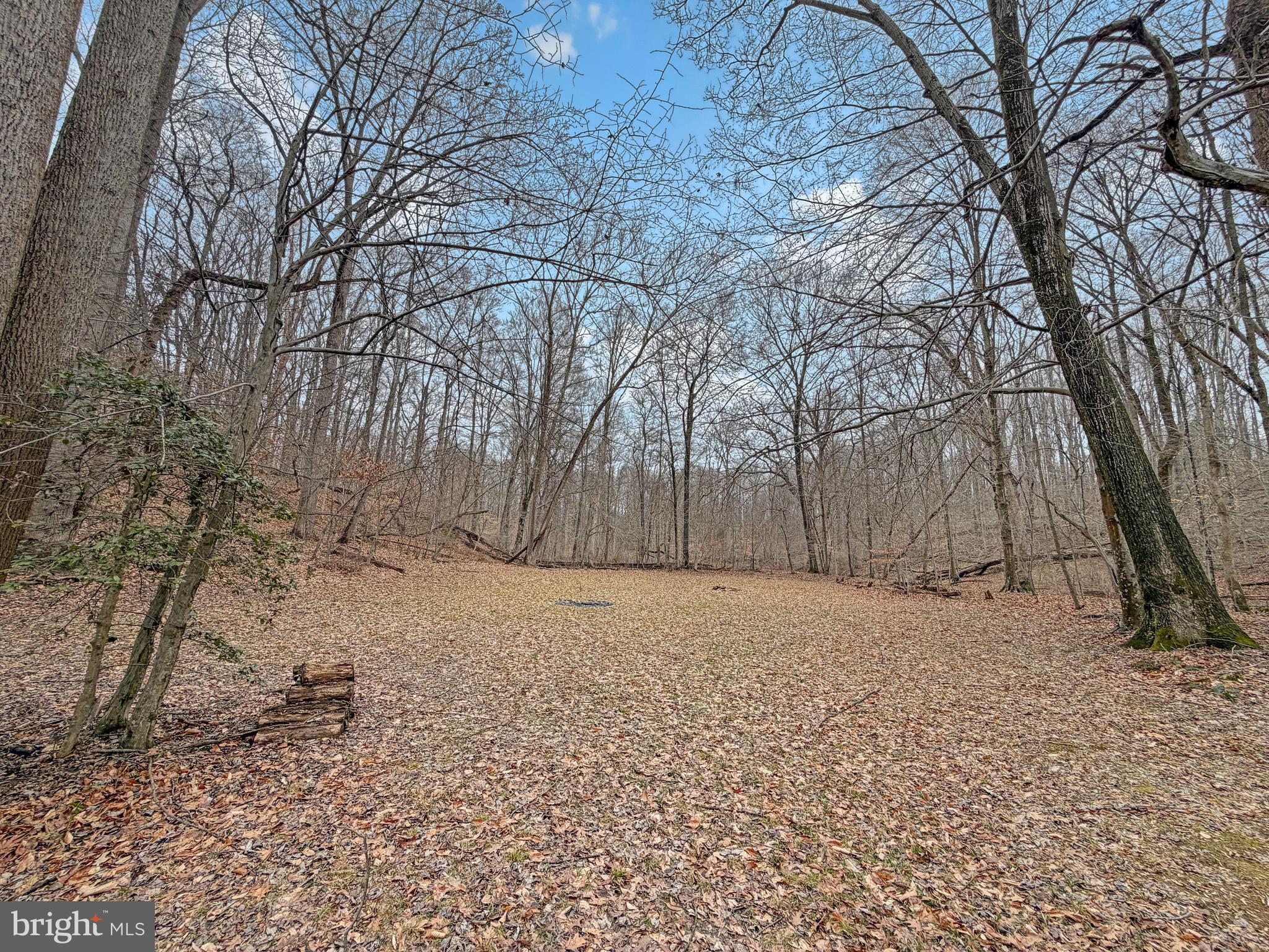 SOUTHERN KNOLL FARMS - Land