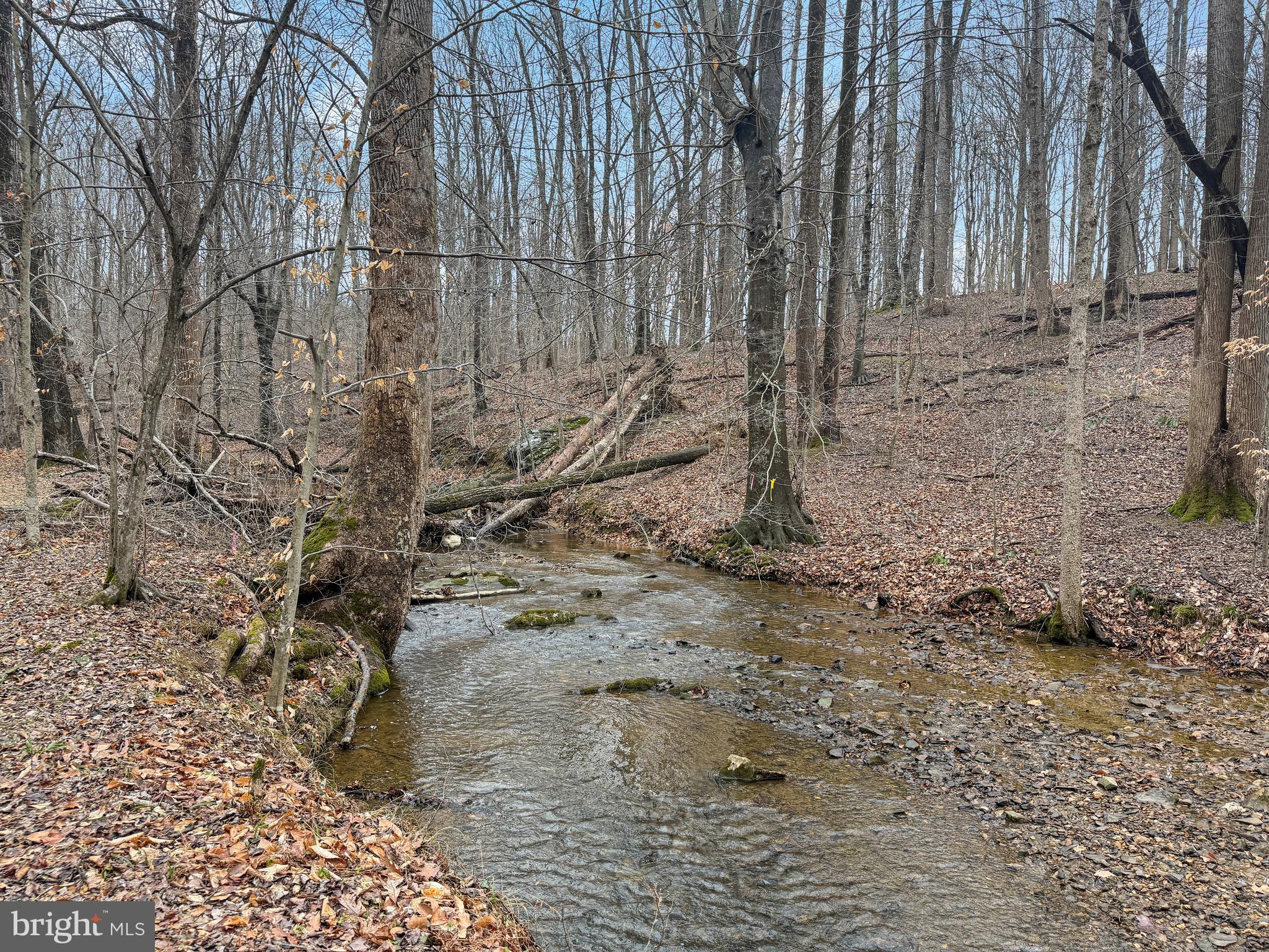 SOUTHERN KNOLL FARMS - Land