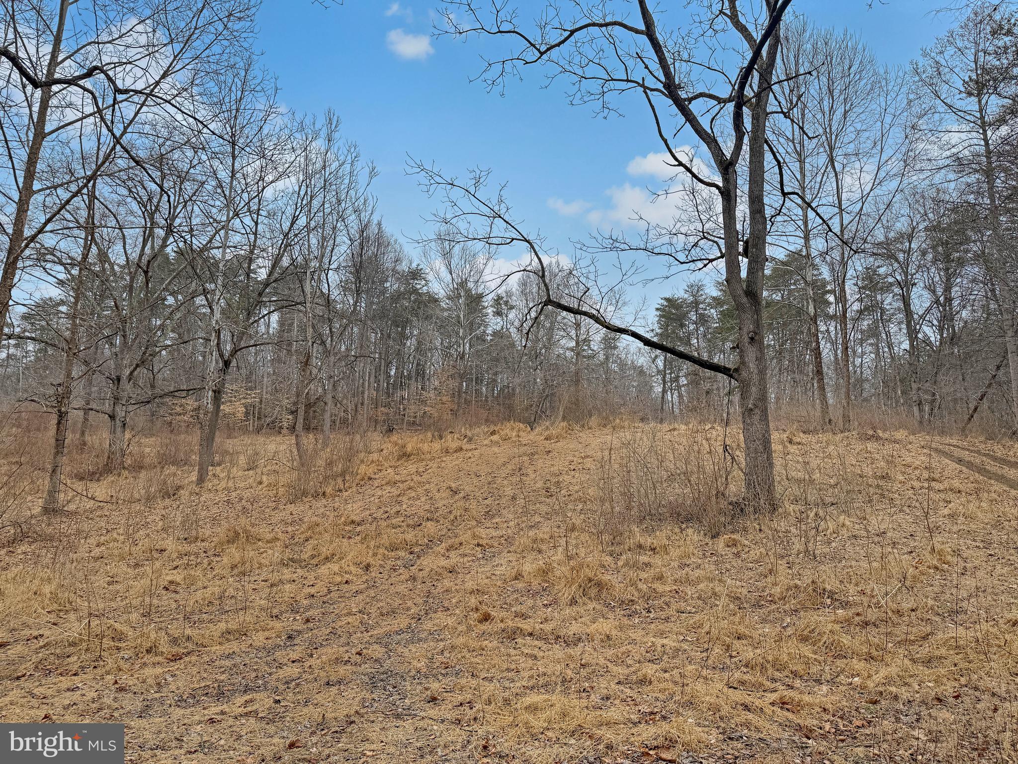 SOUTHERN KNOLL FARMS - Land