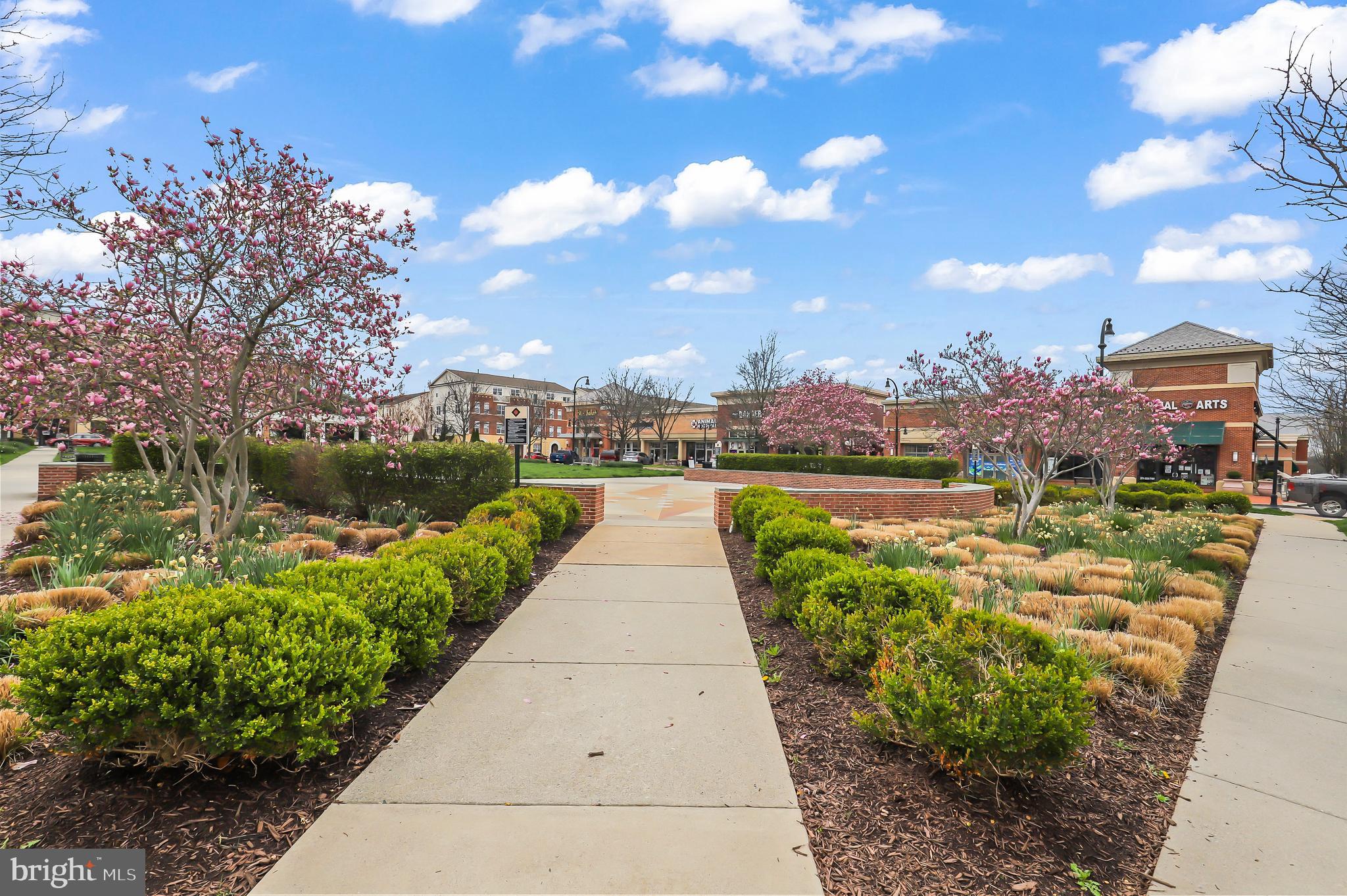 LANSDOWNE TOWN CENTER - Residential