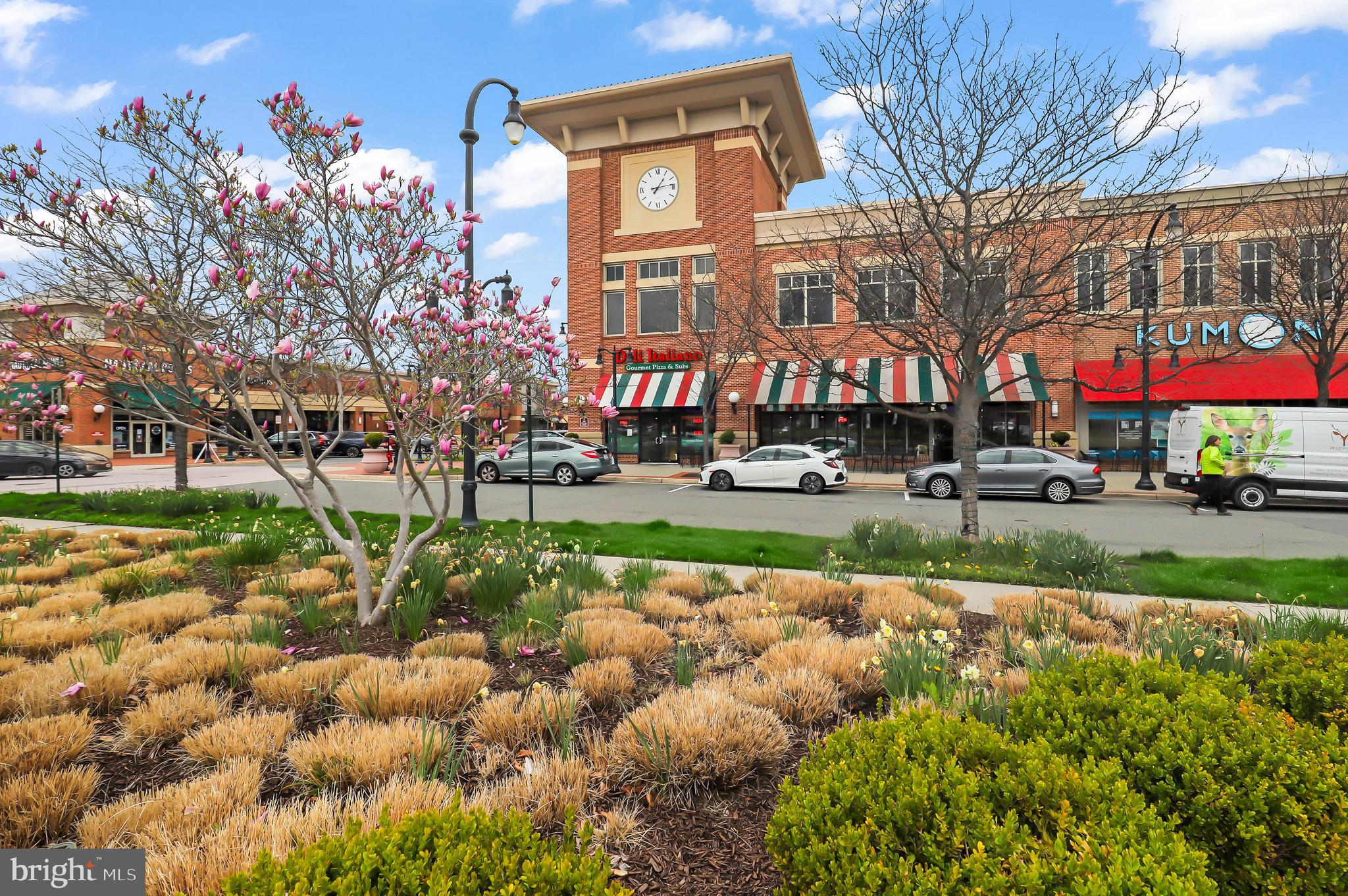 LANSDOWNE TOWN CENTER - Residential