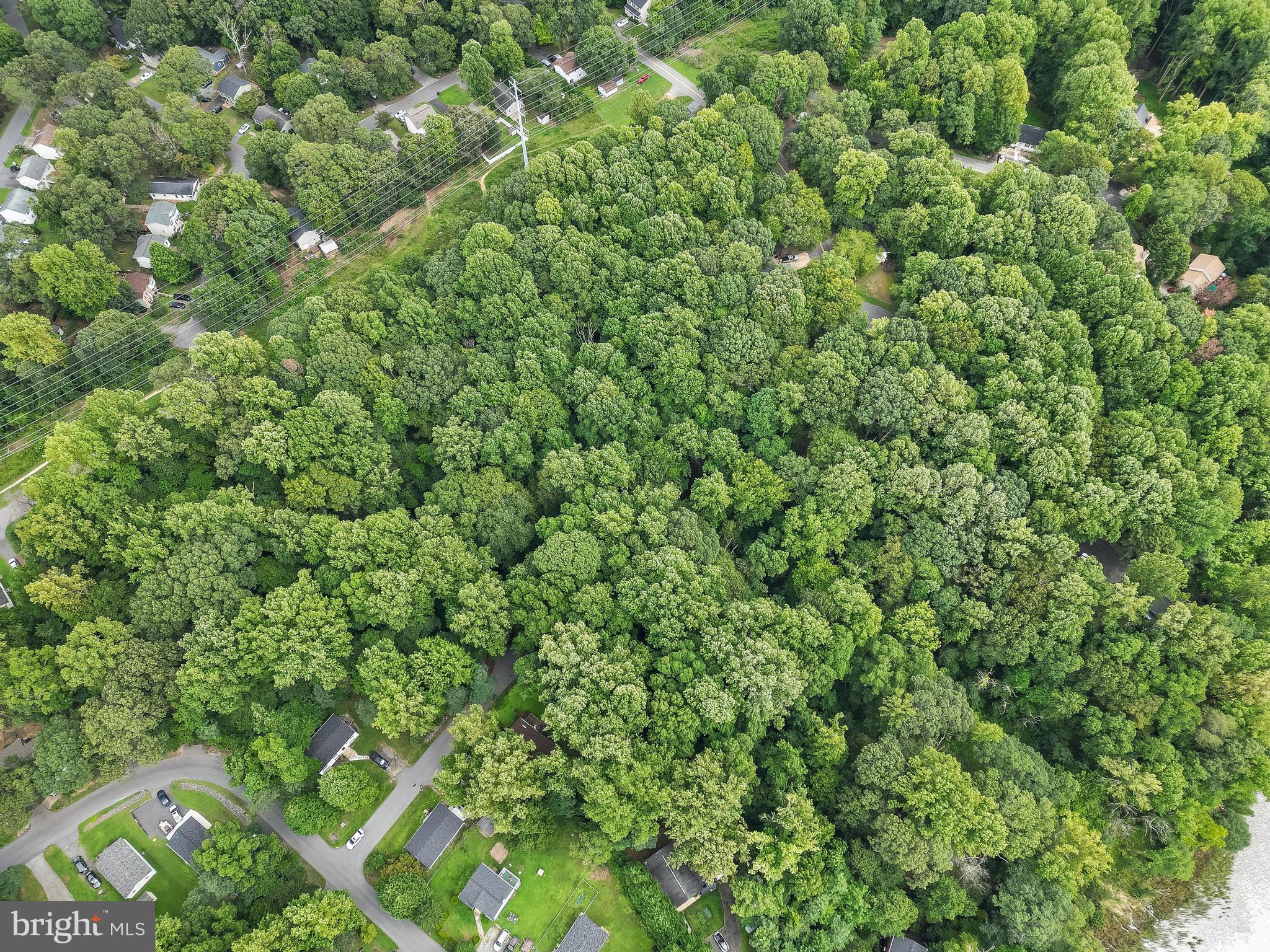Unimproved land Property ID: 054422 Lot 39 Block 25 Plat Ref: 7
A multitude of opportunities to develop this land based on your desired use. Priced to sell well below average price per acre.