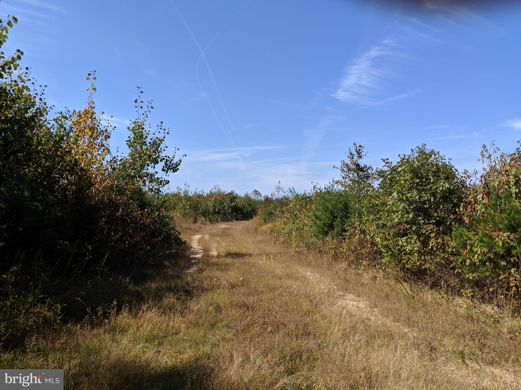5947 COURTHOUSE ROAD